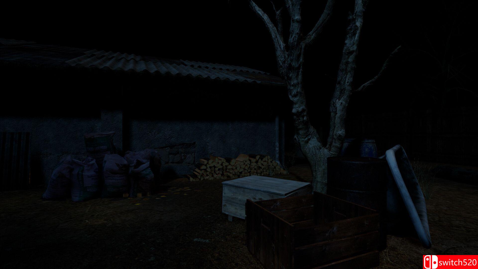《受害者的恐怖（Horror of Victim）》官方中文 TENOKE镜像版[CN/EN]_4