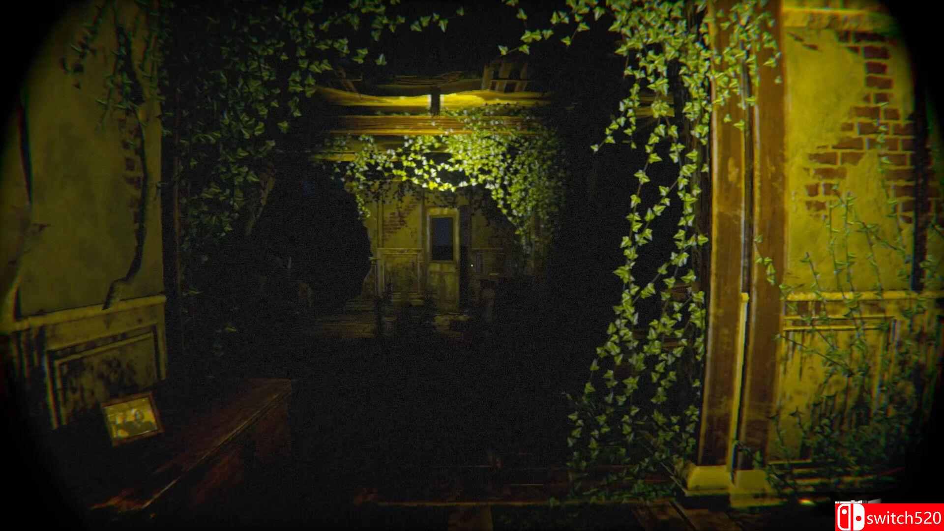 《绝望回声（Echoes Of Despair）》TENOKE镜像版[EN]_1