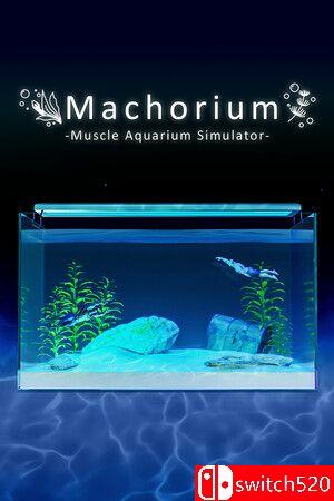 《壮士水族馆 -肌肉水族馆模拟器-（Muscle Aquarium Simulator）》TENOKE镜像版[CN/TW/EN/JP]