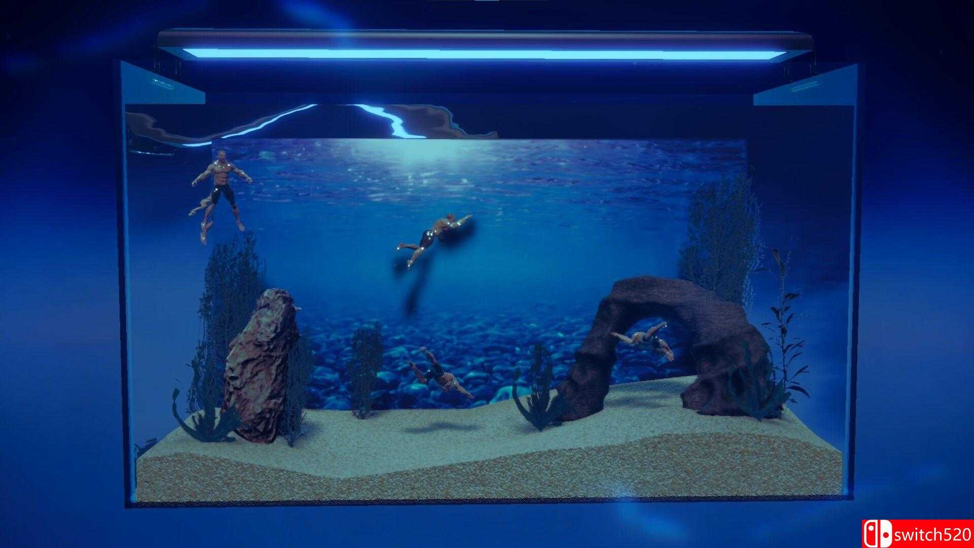《壮士水族馆 -肌肉水族馆模拟器-（Muscle Aquarium Simulator）》TENOKE镜像版[CN/TW/EN/JP]_1