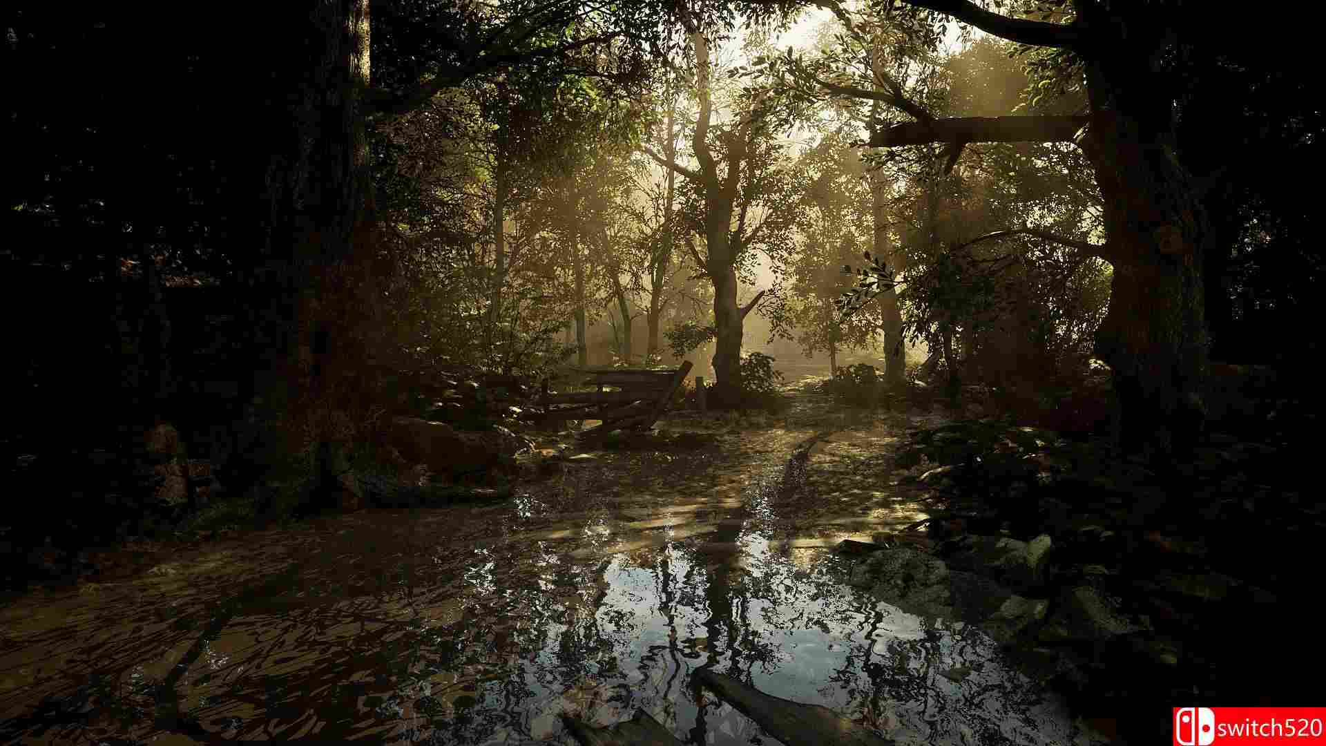 《切尔诺贝利人（Chernobylite）》官方中文 完全版 RUNE镜像版[CN/EN/JP]_5