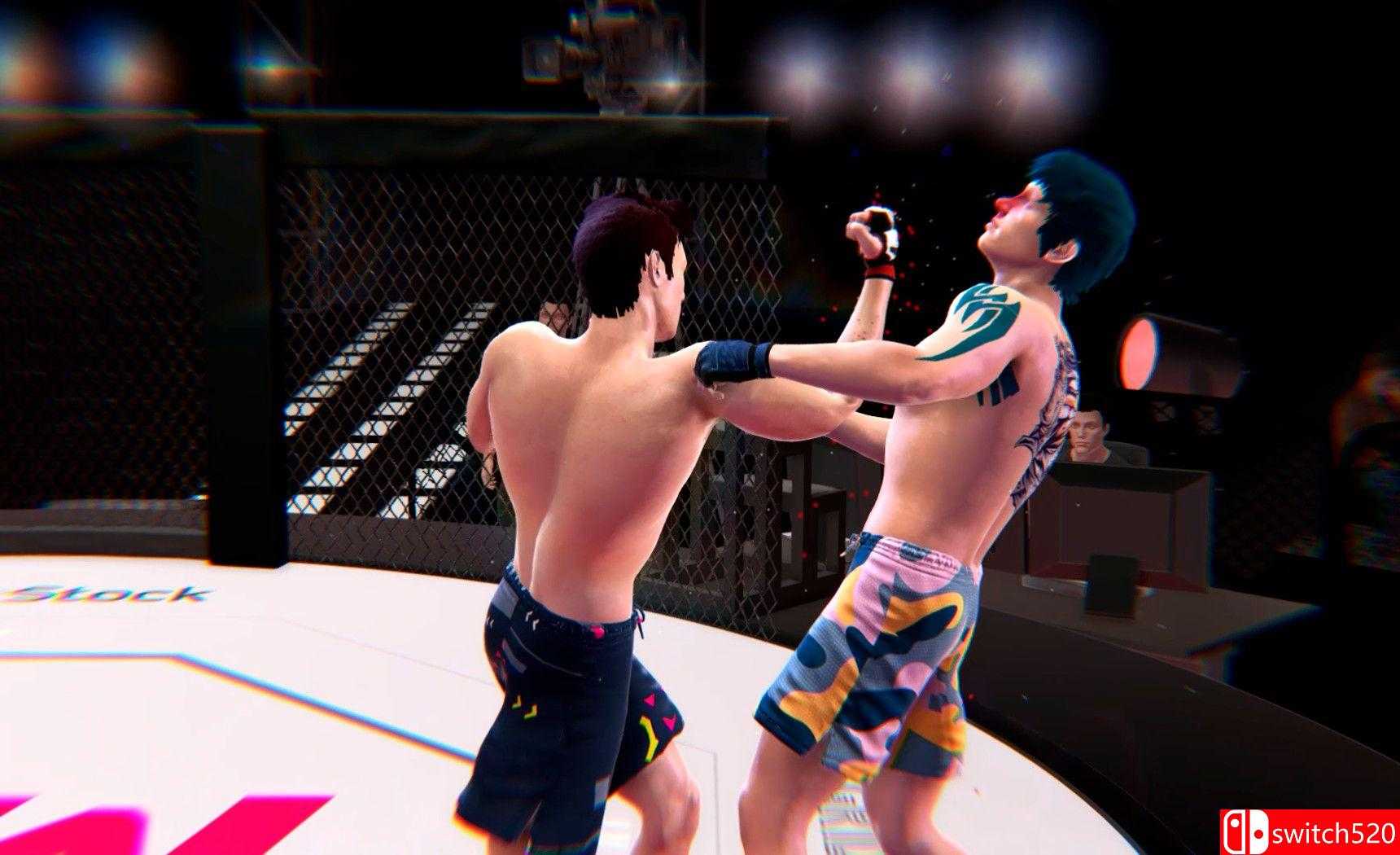 《终极综合格斗（Ultimate MMA）》v4738293 P2P硬盘版[EN]_4
