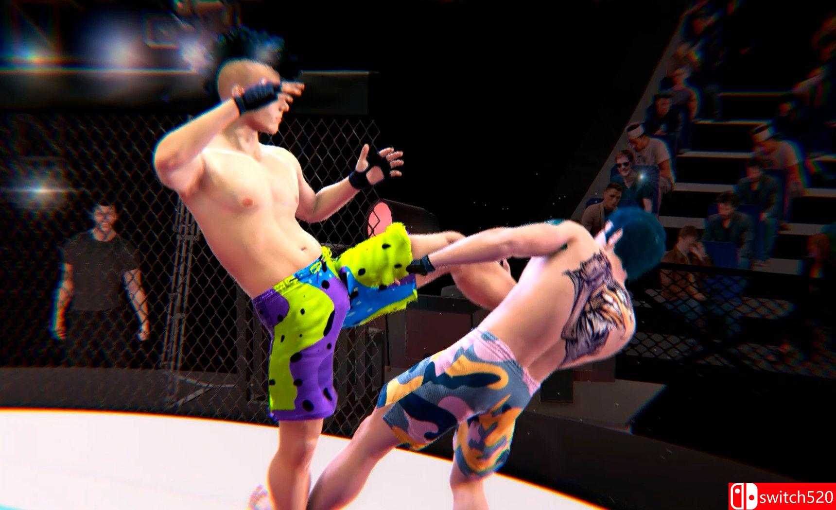 《终极综合格斗（Ultimate MMA）》v4738293 P2P硬盘版[EN]_3