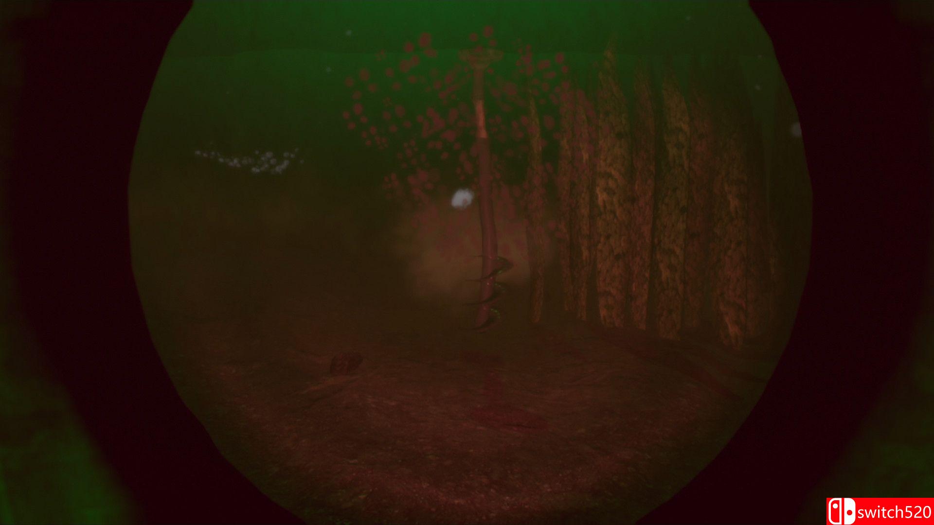 《海雾下的沉眠（It Sleeps Below the Haar）》TENOKE镜像版[EN]_2