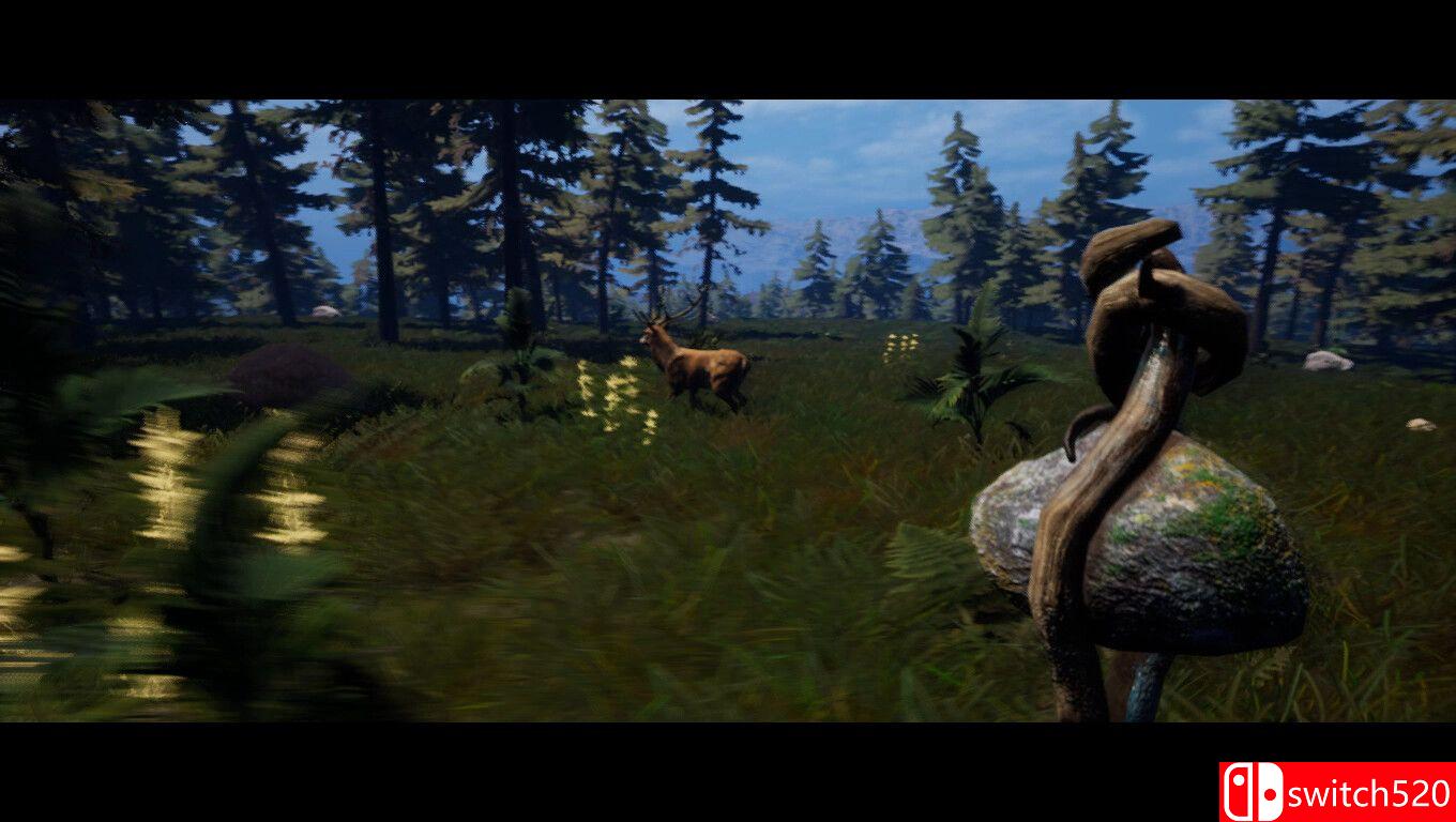 《恐惧森林（Forest Of Fear）》官方中文 TiNYiSO镜像版[CN/EN/JP]_4