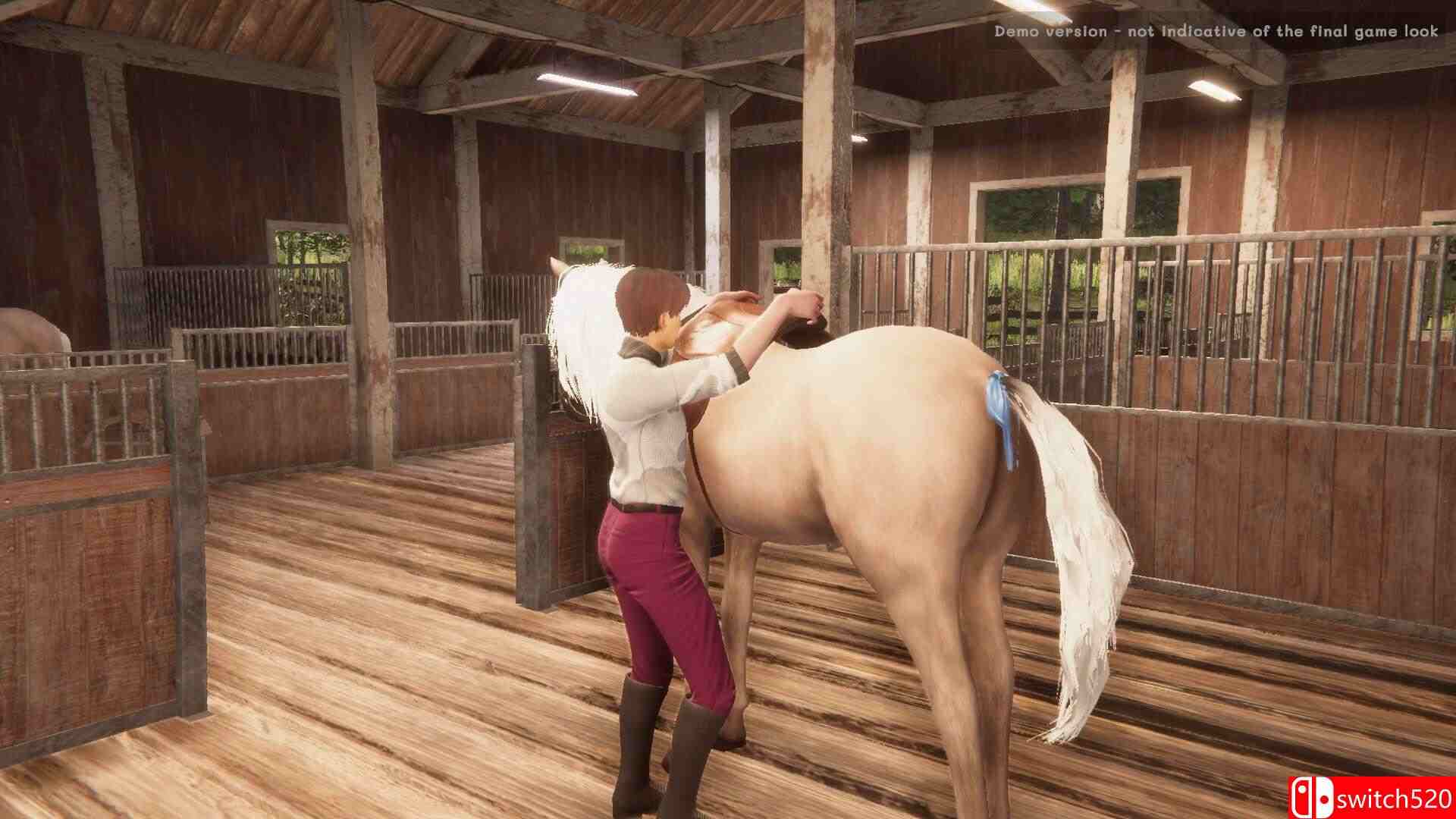 《我的马：灵魂契约（My Horse: Bonded Spirits）》官方中文 SKIDROW镜像版[CN/TW/EN/JP]_5