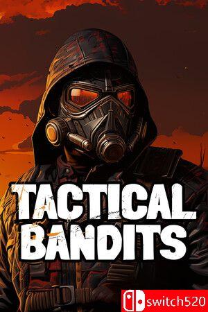 《后末日侠盗（TACTICAL BANDITS）》官方中文 SKIDROW镜像版[CN/TW/EN/JP]
