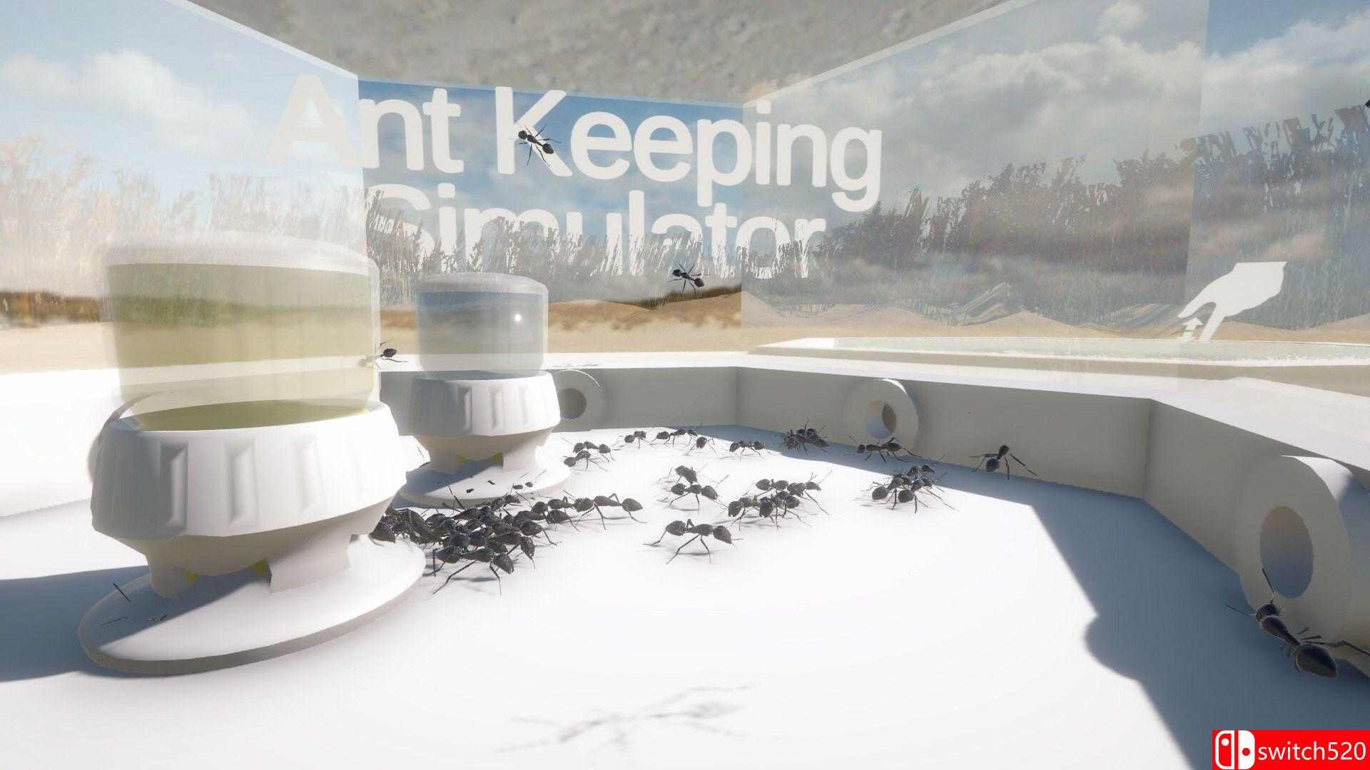 《养蚁模拟器（Ant Keeping Simulator）》Build 15236372 P2P硬盘版[EN]_3