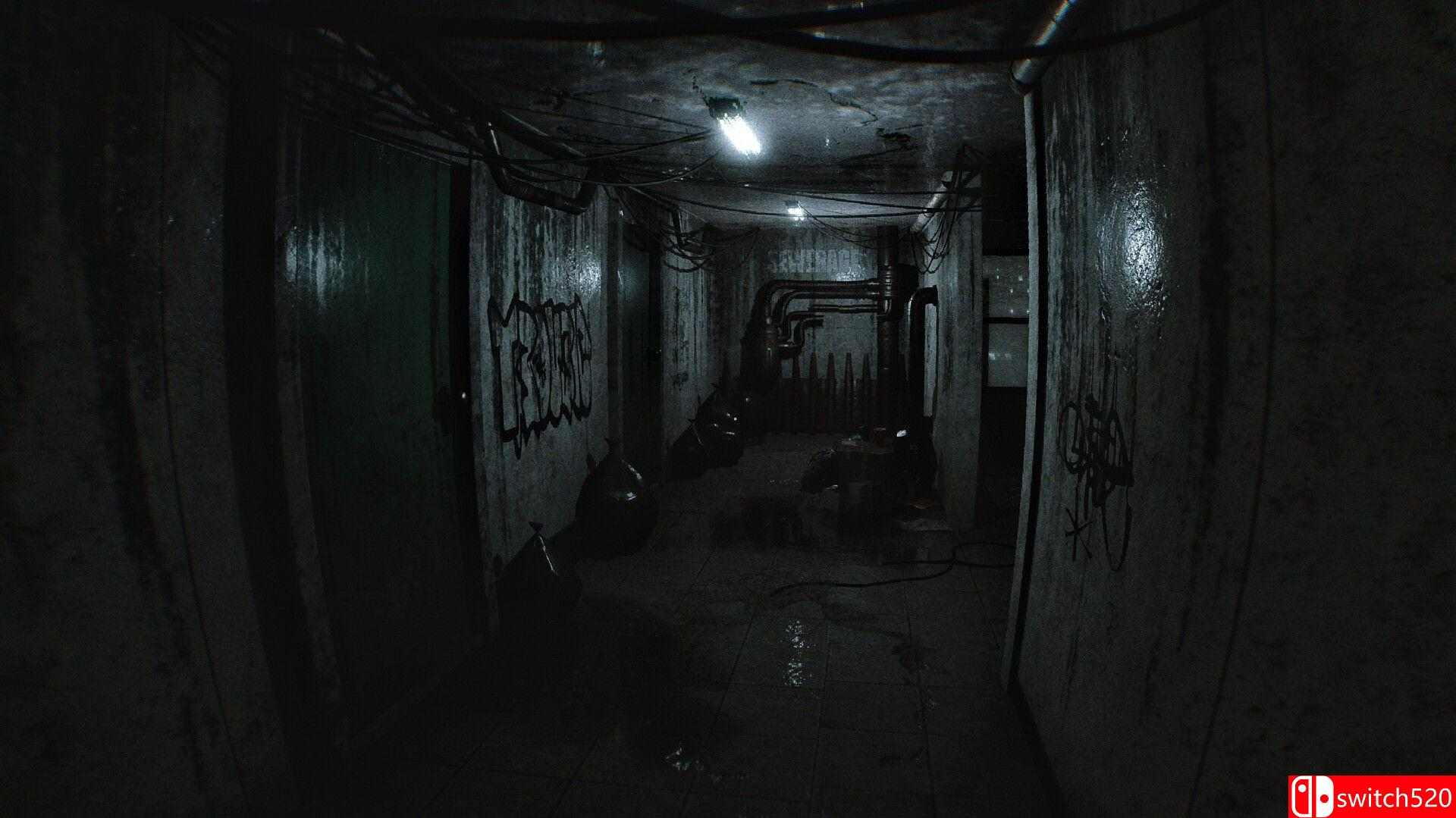 《无家可归（Homeless）》官方中文 TENOKE镜像版[EN]_5