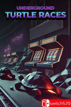 《地下龟速竞赛（Underground Turtle Races）》TENOKE镜像版[EN]