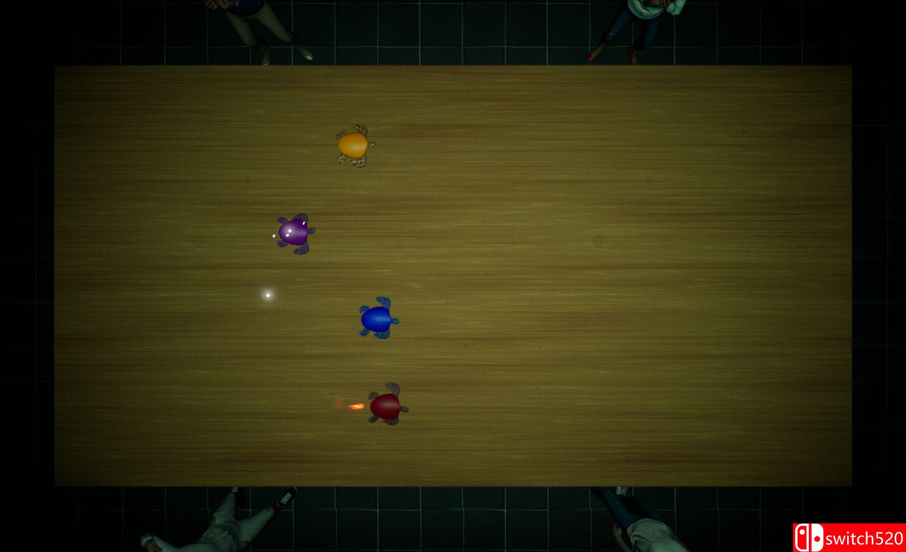 《地下龟速竞赛（Underground Turtle Races）》TENOKE镜像版[EN]_5