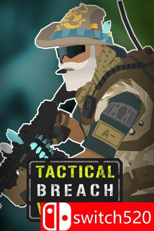 《战术突破巫师（Tactical Breach Wizards）》TENOKE镜像版[EN]