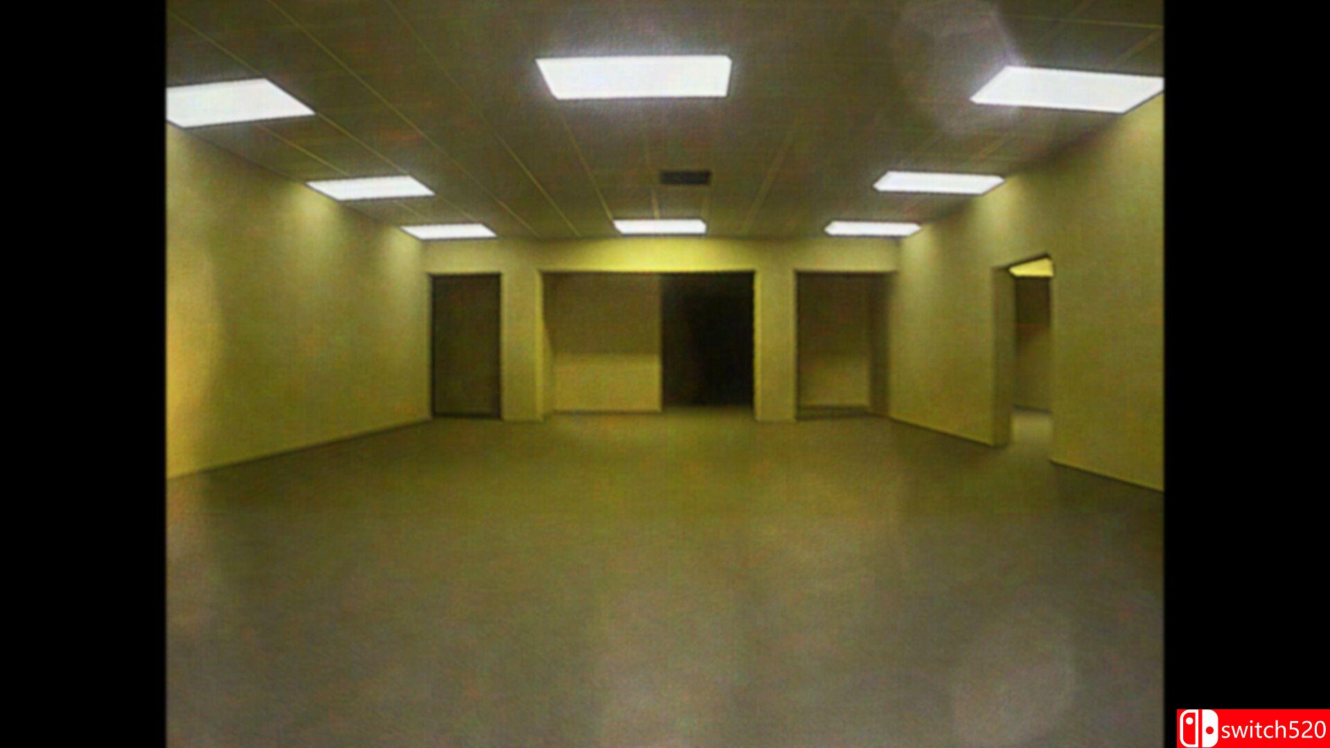 《后室：最后的房间（Backrooms: Last Room）》TENOKE镜像版[EN]_4