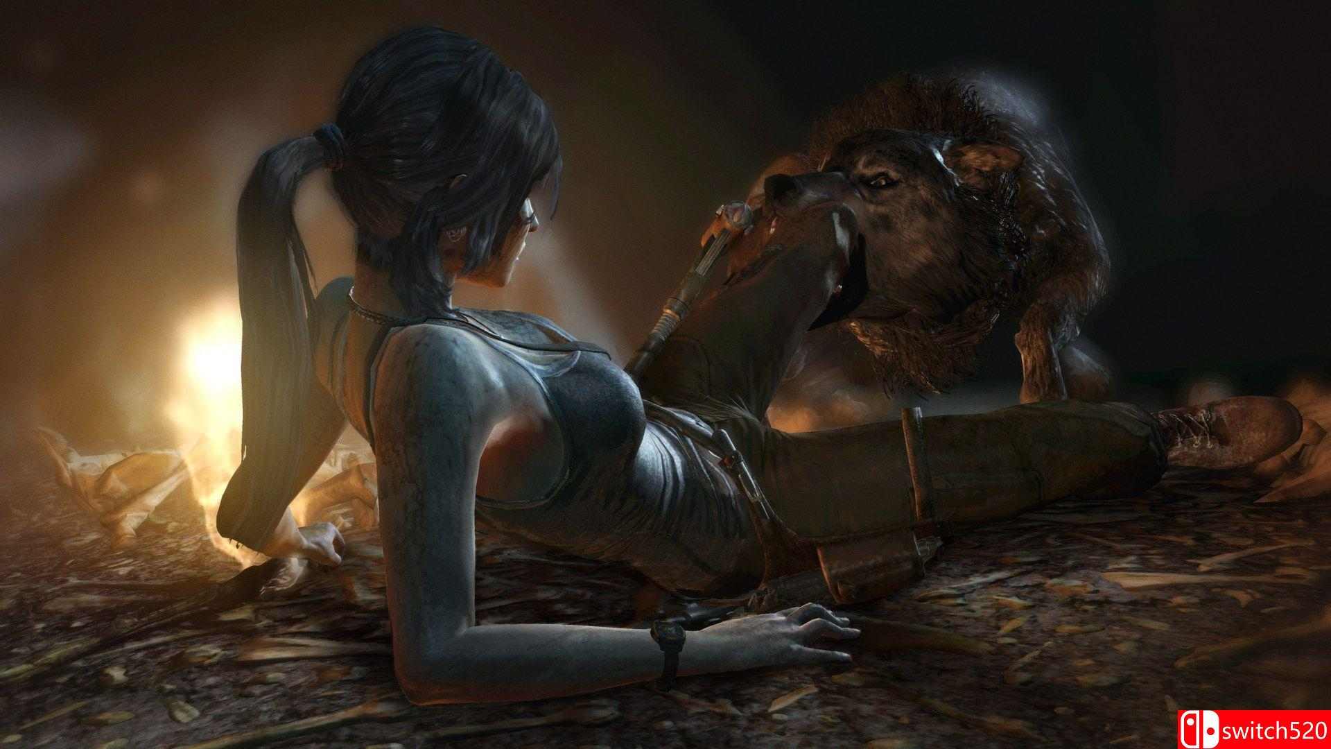 《古墓丽影9（Tomb Raider）》官方中文 终极版 RUNE镜像版[TW/EN]_7