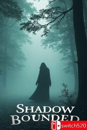 《影域封锁（Shadow Bounded）》TENOKE镜像版[EN]