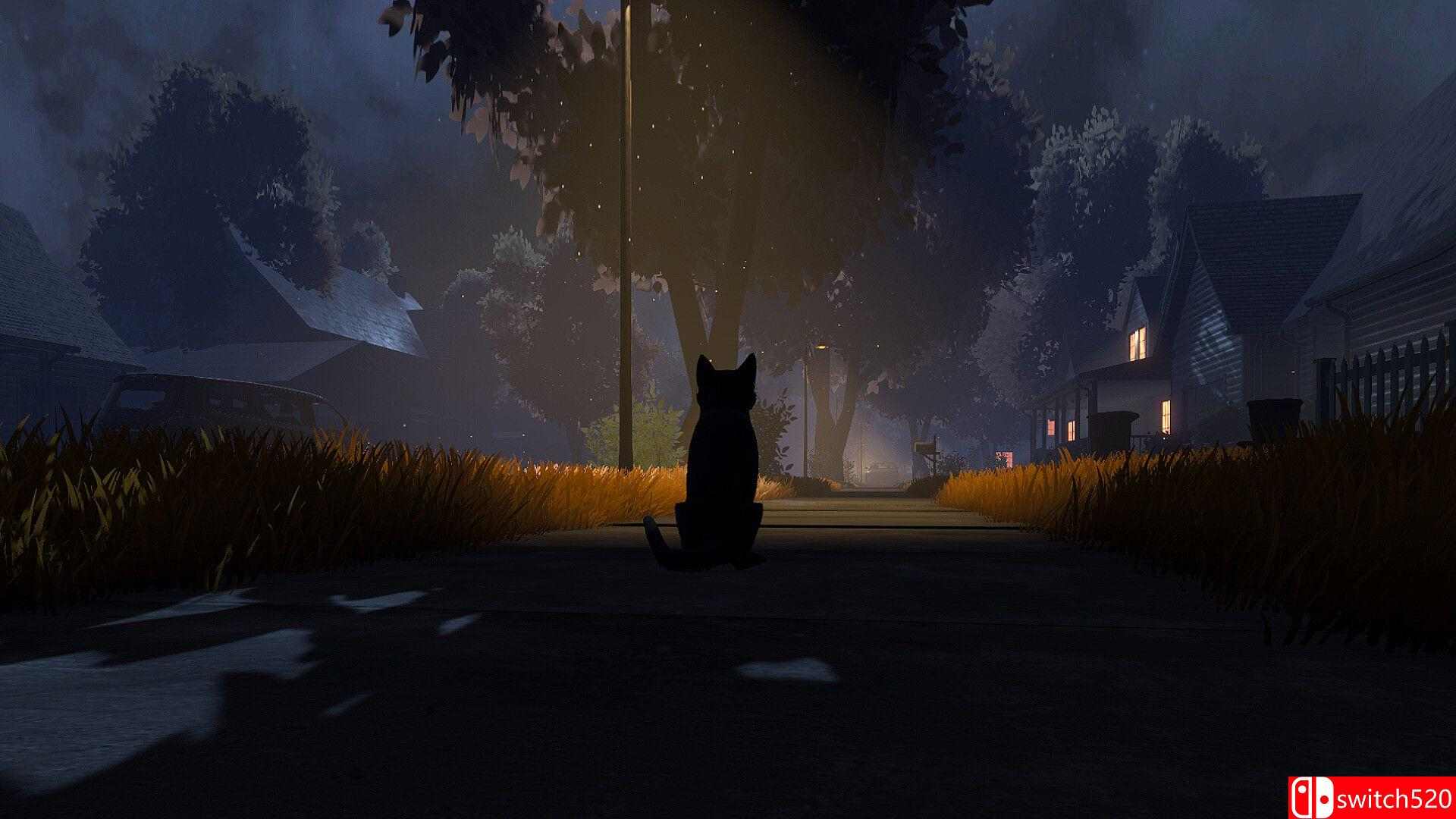 《冒牌猫谜（Copycat）》官方中文 TENOKE镜像版[CN/EN/JP]_3