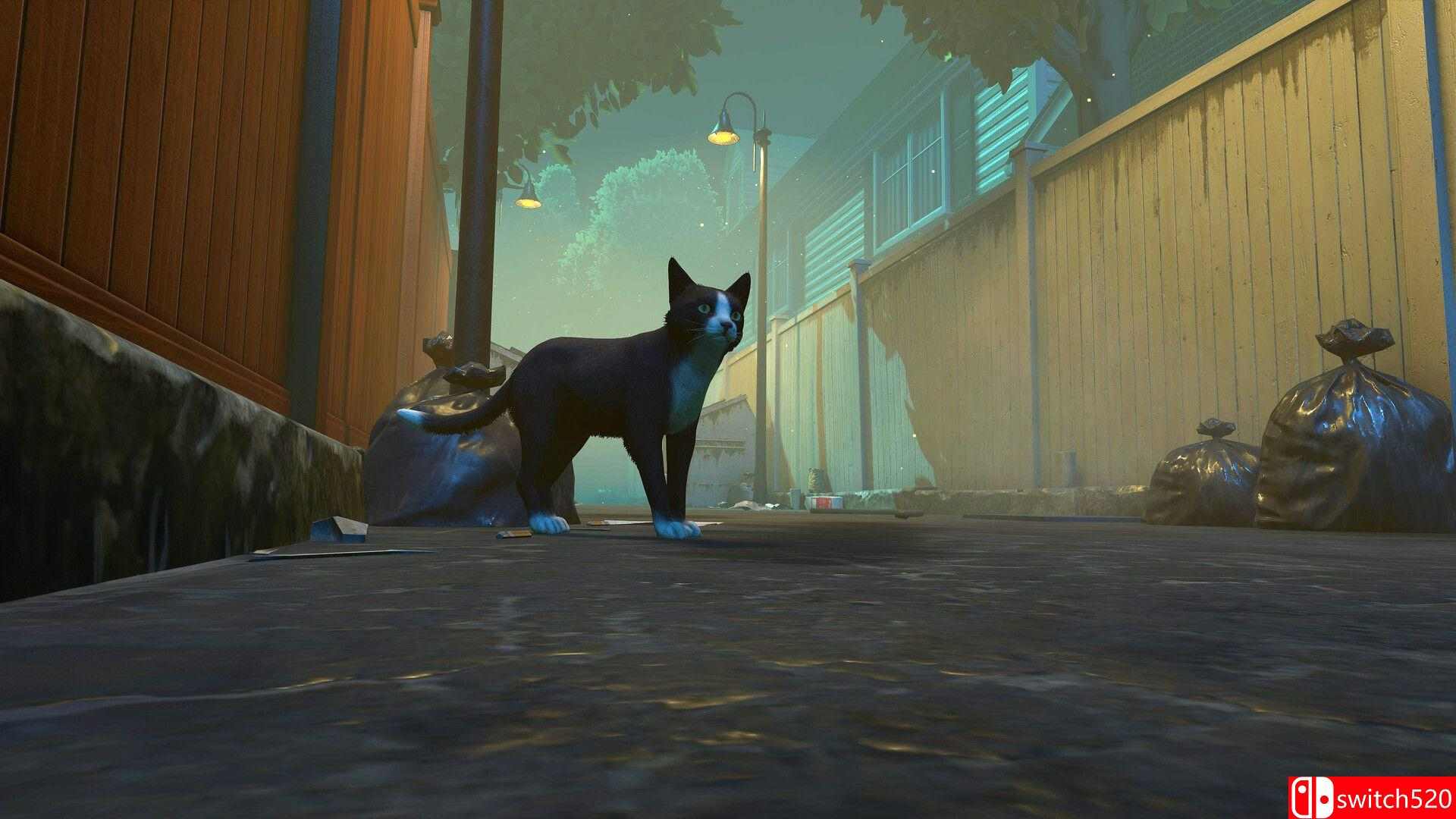 《冒牌猫谜（Copycat）》官方中文 TENOKE镜像版[CN/EN/JP]_1