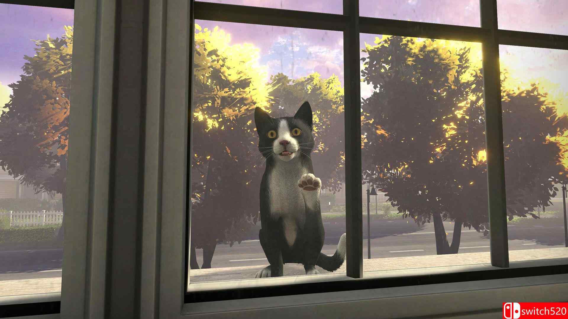 《冒牌猫谜（Copycat）》官方中文 TENOKE镜像版[CN/EN/JP]_4