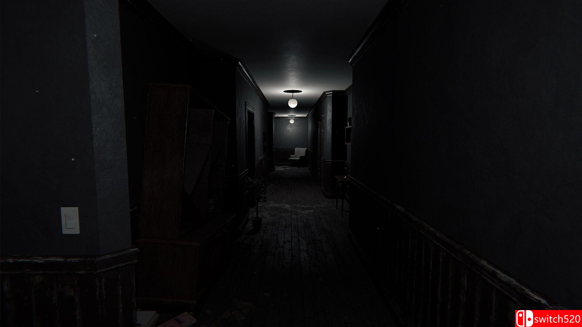 《恐怖阴影点：最后的告别（Scary Shadow Spot - Last Farewell）》TENOKE镜像版[EN]_2