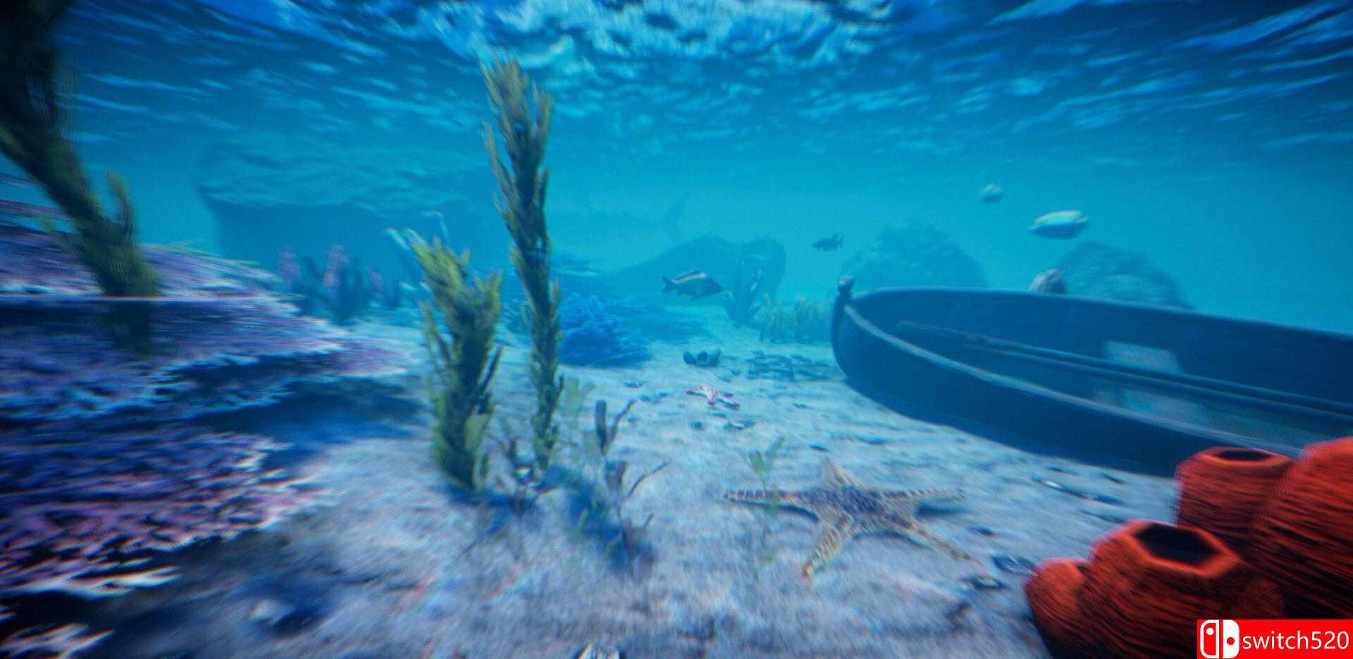 《荒岛求生计划（Project Castaway）》Early Access P2P硬盘版[EN]_1