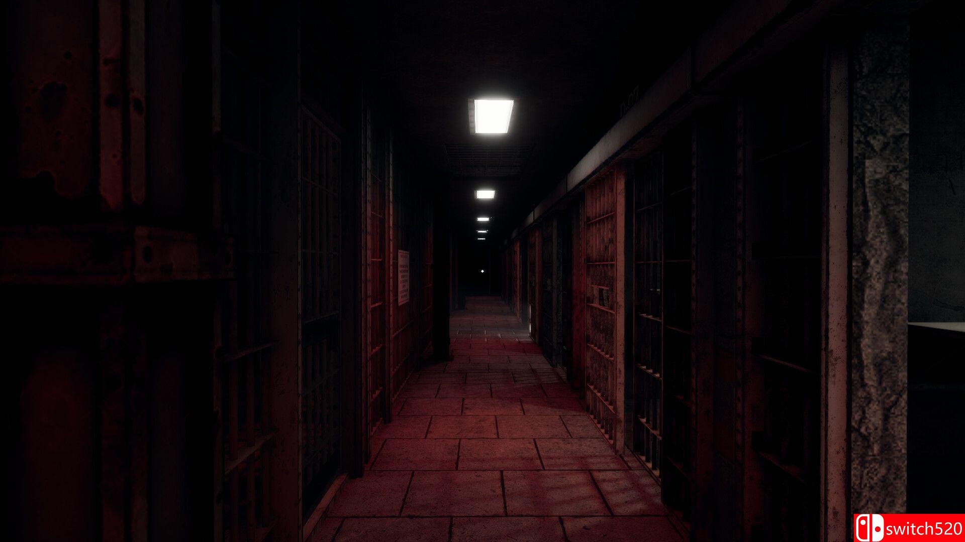 《独身囚牢（Prison Alone）》官方中文 TENOKE镜像版[CN/EN/JP]_1