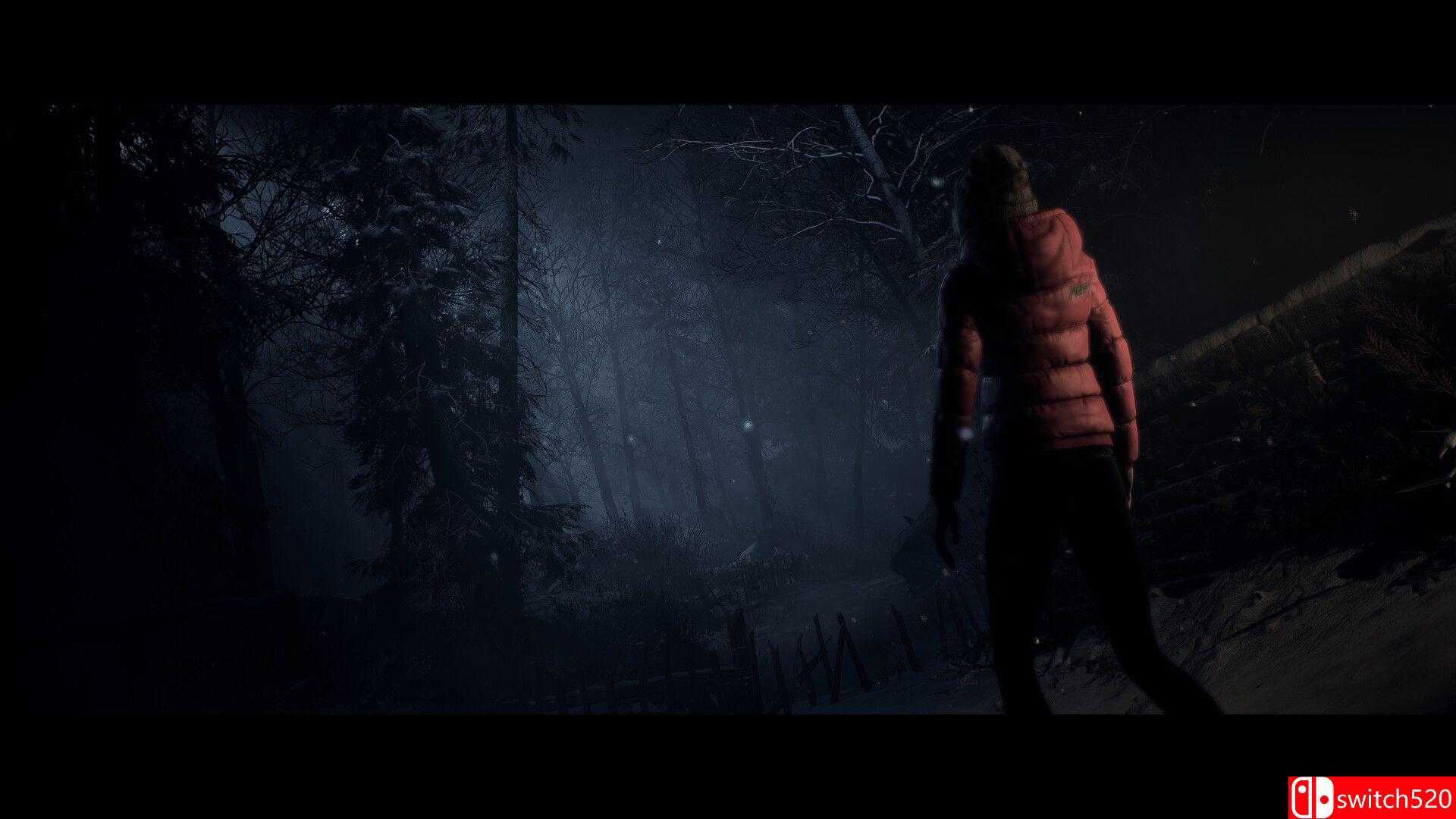《直到黎明（Until Dawn）》官方中文 RUNE镜像版[CN/TW/EN/JP]_4