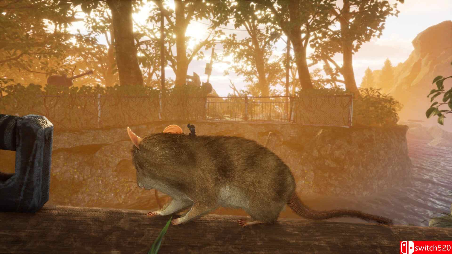 《小小世界: 原野求生（Smalland: Survive the Wilds）》集成露营地升级 TENOKE镜像版[CN/EN/JP]_2