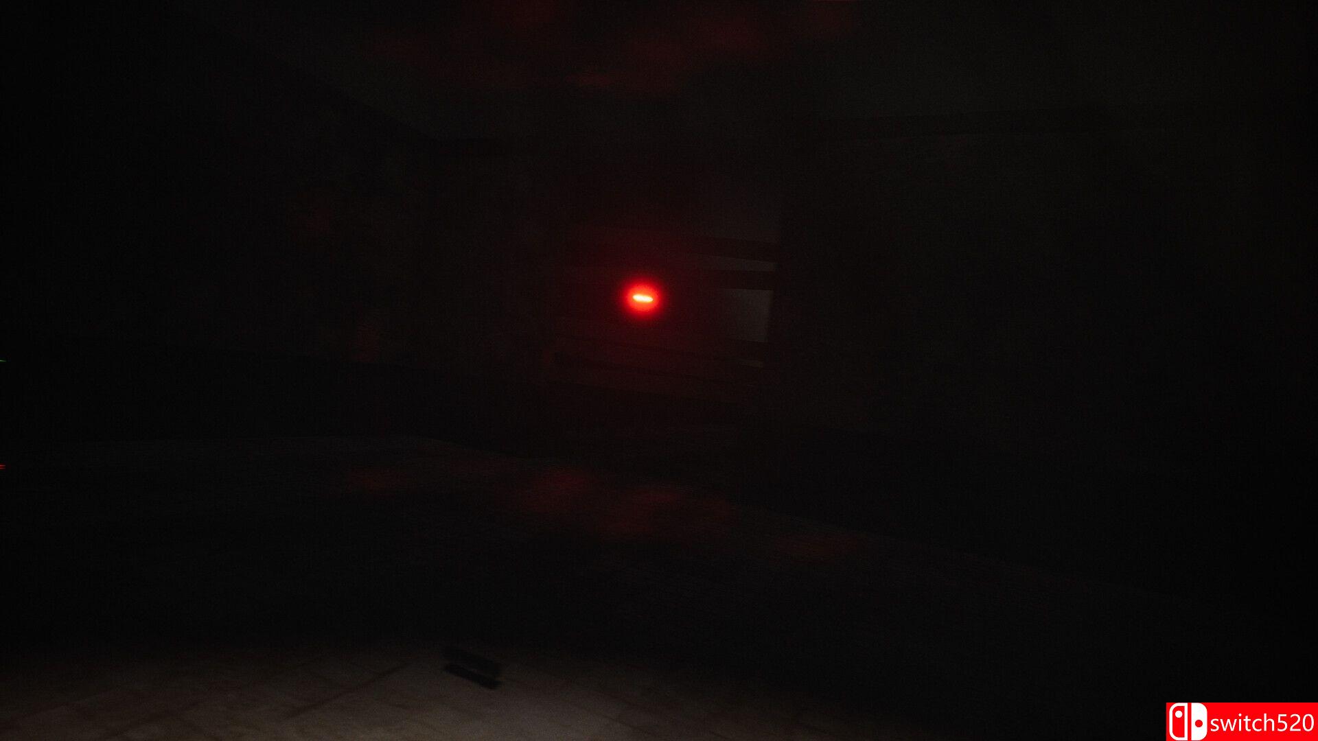 《蛾人猎杀（Mothman）》Build 13517839 P2P硬盘版[EN]_5