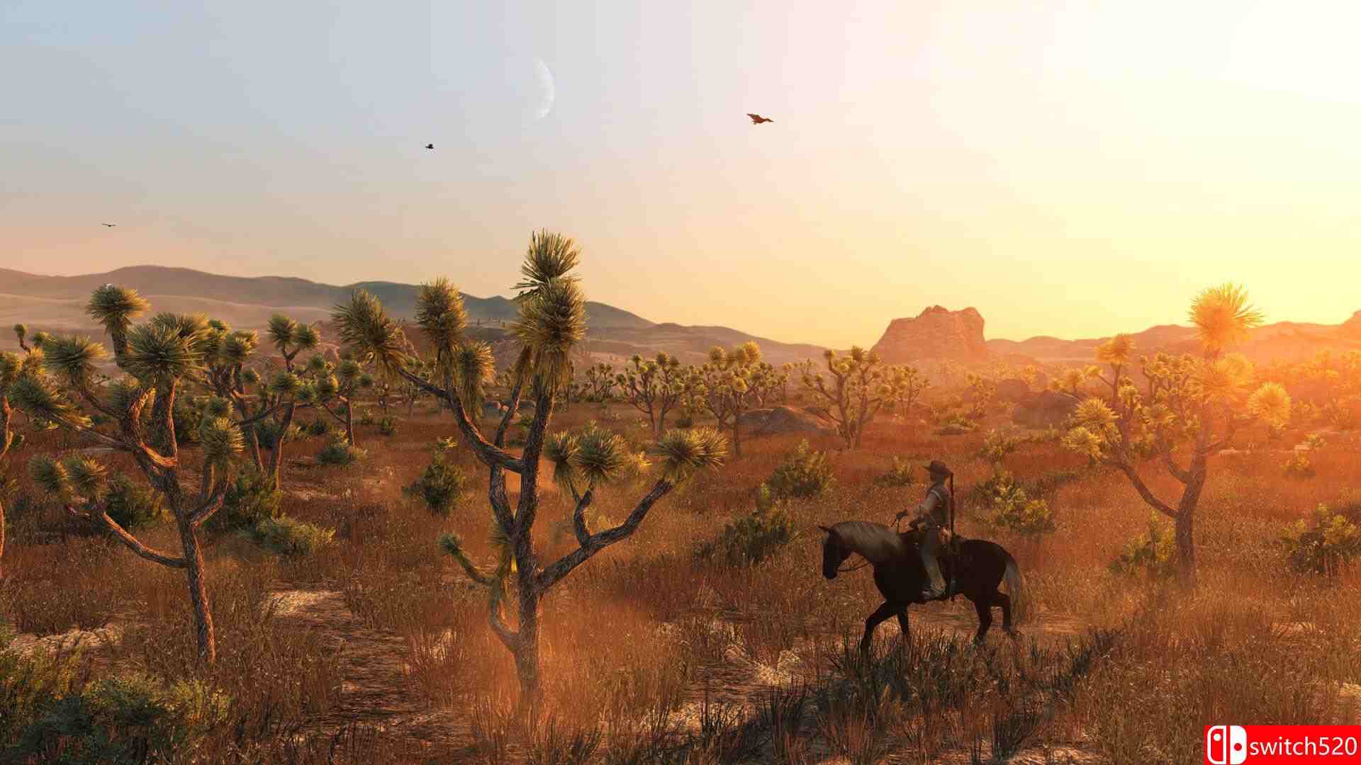 《荒野大镖客：救赎（Red Dead Redemption）》官方中文 Razor1911镜像版[CN/TW/EN/JP]_4
