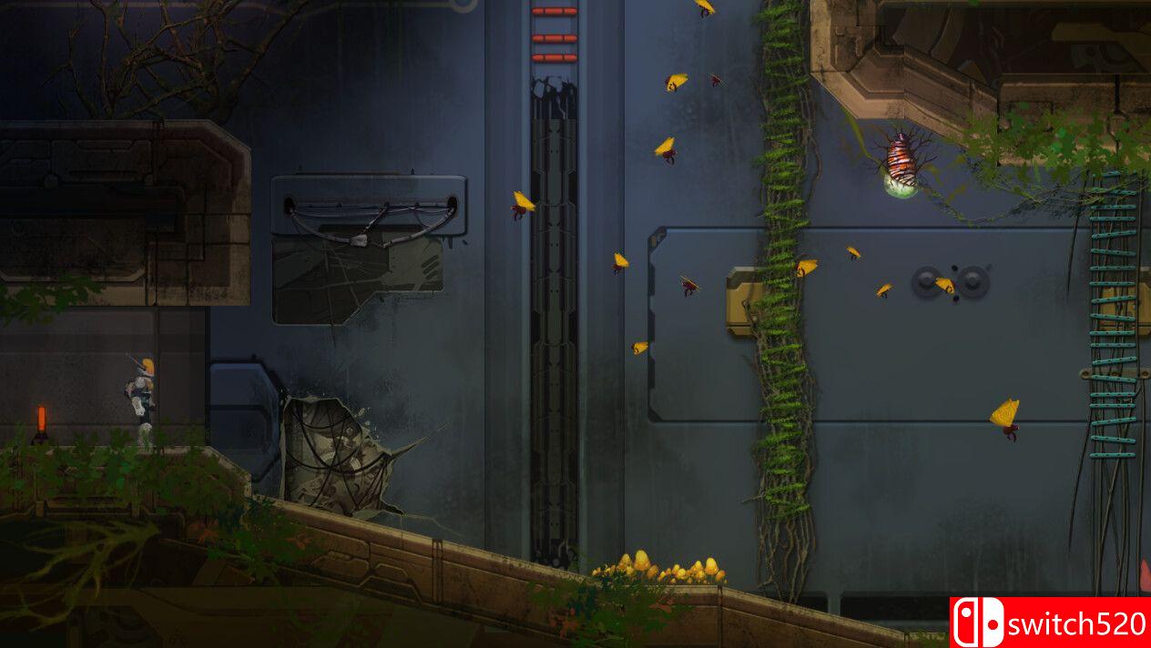 《生物框架前哨（Bioframe Outpost）》官方中文 TENOKE镜像版[CN/EN/JP]_4