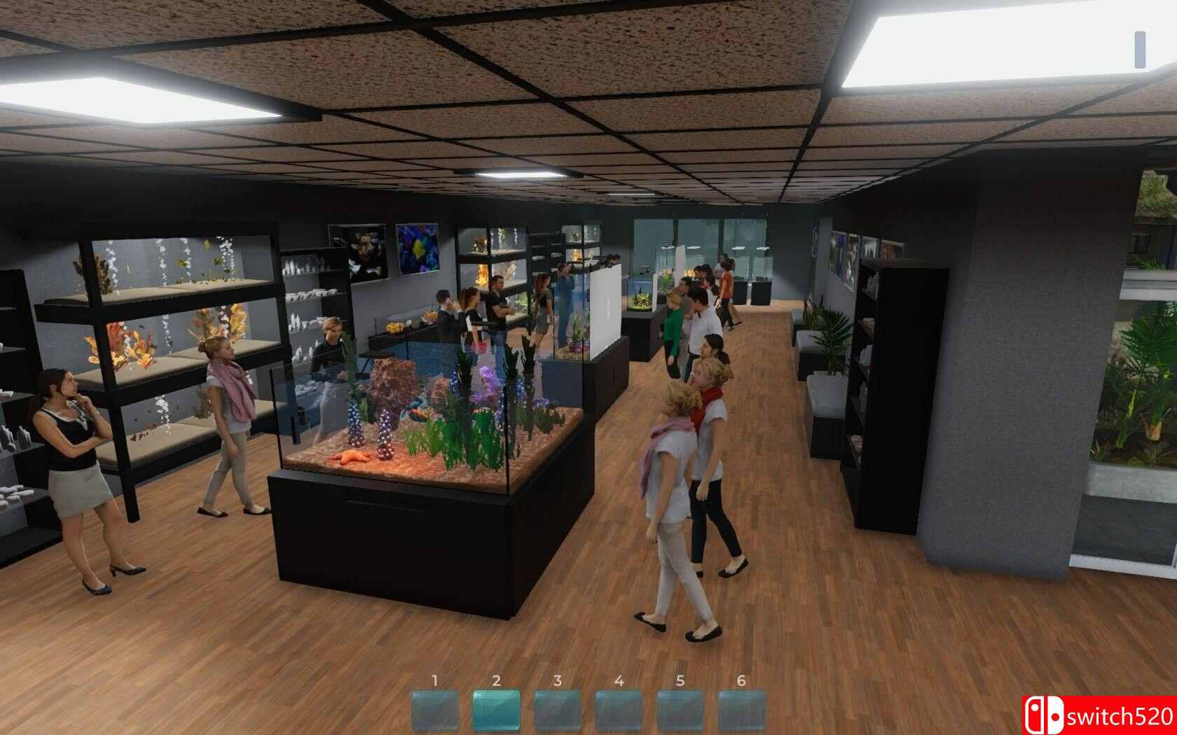 《水族馆（Aquarist）》官方中文 集成水产超市DLC TENOKE镜像版[CN/TW/EN/JP]_3