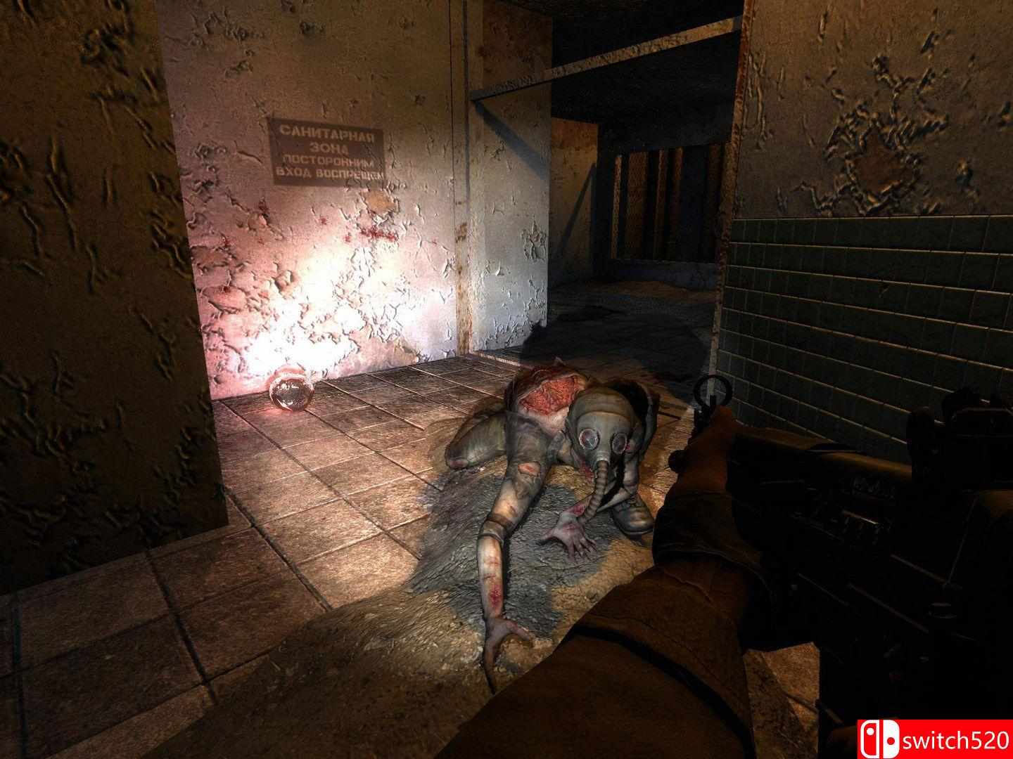 《潜行者：切尔诺贝利的阴影（S.T.A.L.K.E.R.: Shadow of Chernobyl）》DINOByTES镜像版[TW/EN]_3
