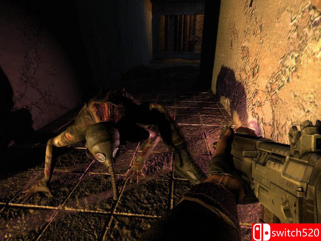 《潜行者：切尔诺贝利的阴影（S.T.A.L.K.E.R.: Shadow of Chernobyl）》DINOByTES镜像版[TW/EN]_5