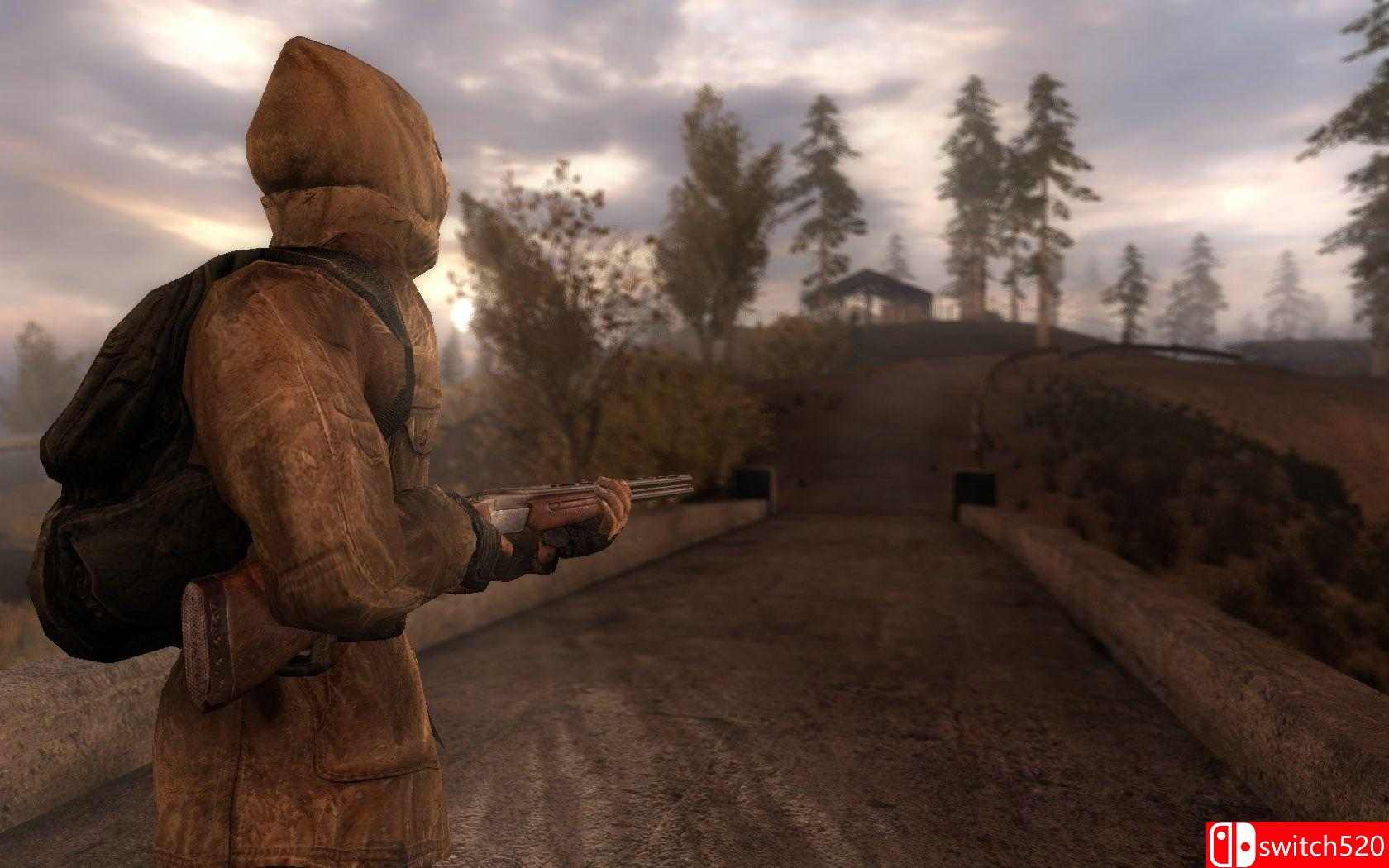 《潜行者：普里皮亚季的召唤（STALKER.: Call of Pripyat）》v1.6.02 DINOByTES镜像版[EN]_4