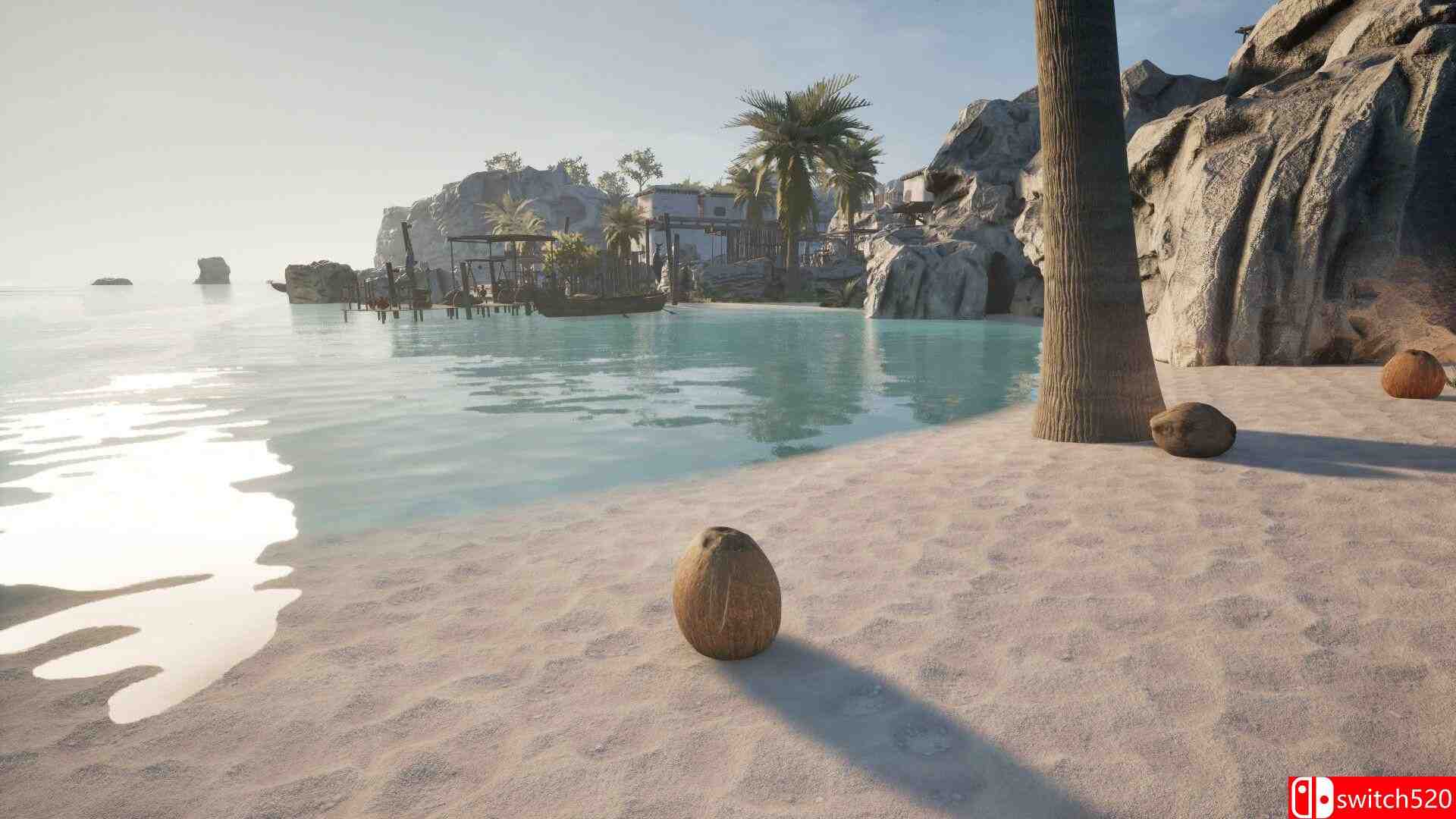 《椰子模拟器（Coconut Simulator）》官方中文 TENOKE镜像版[CN/EN/JP]_2