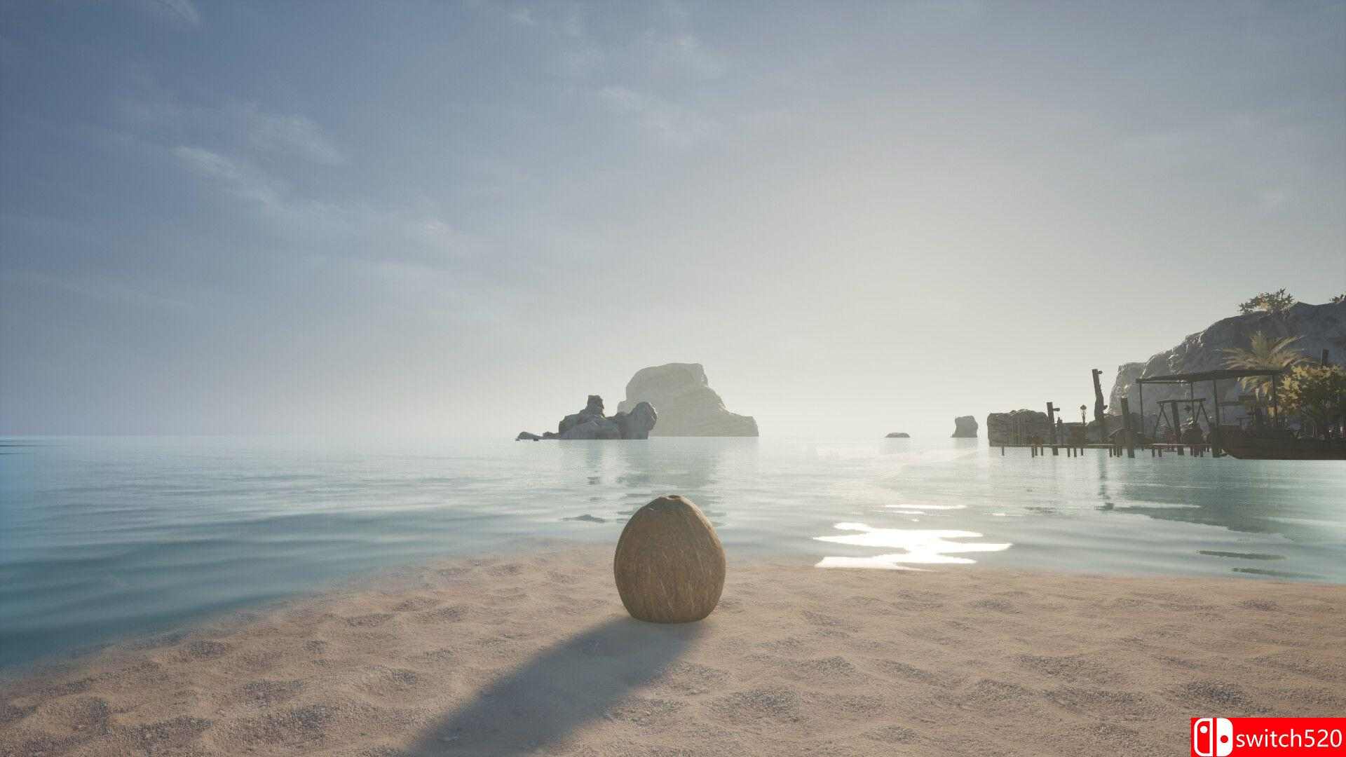 《椰子模拟器（Coconut Simulator）》官方中文 TENOKE镜像版[CN/EN/JP]_1