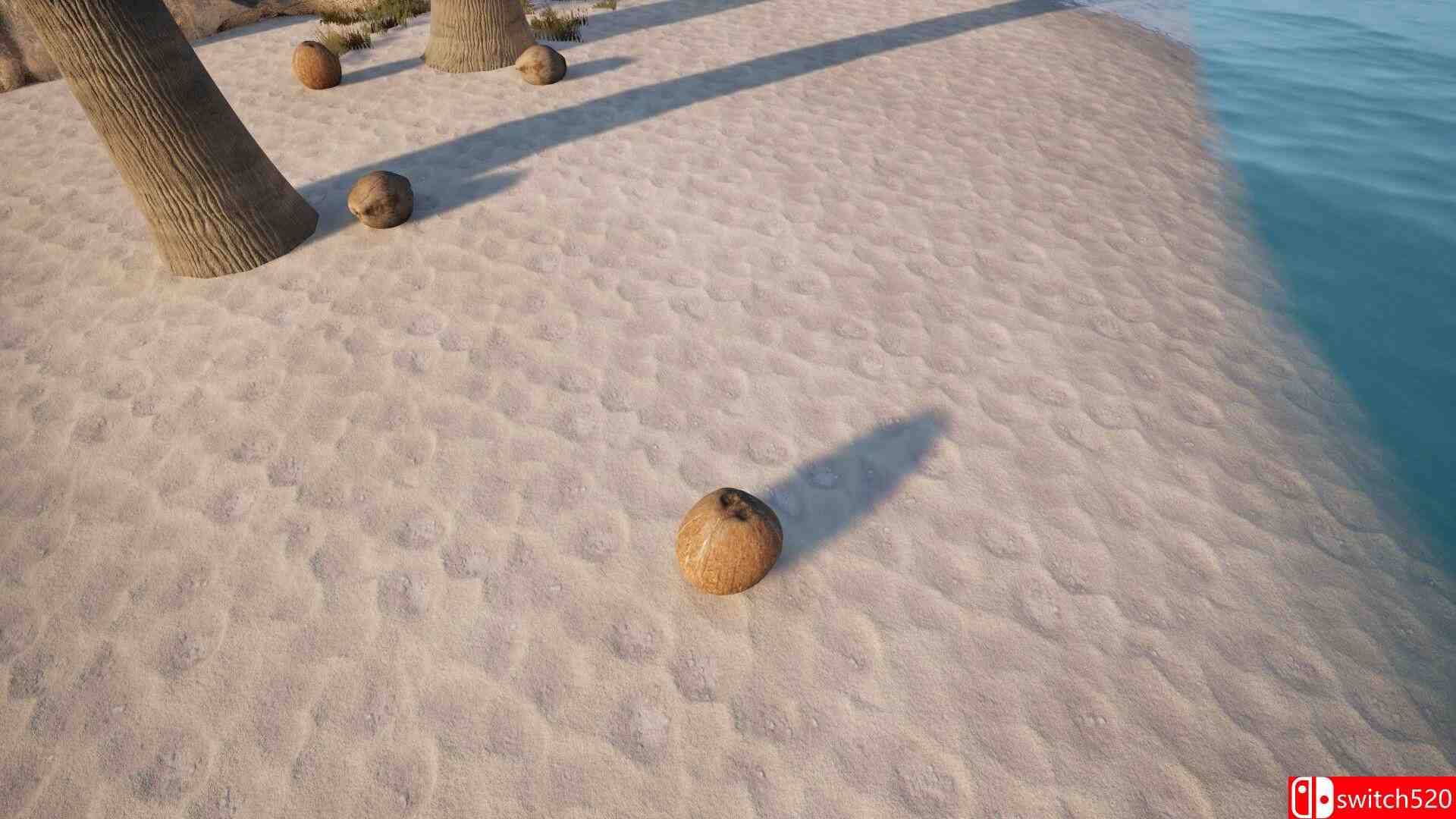 《椰子模拟器（Coconut Simulator）》官方中文 TENOKE镜像版[CN/EN/JP]_5