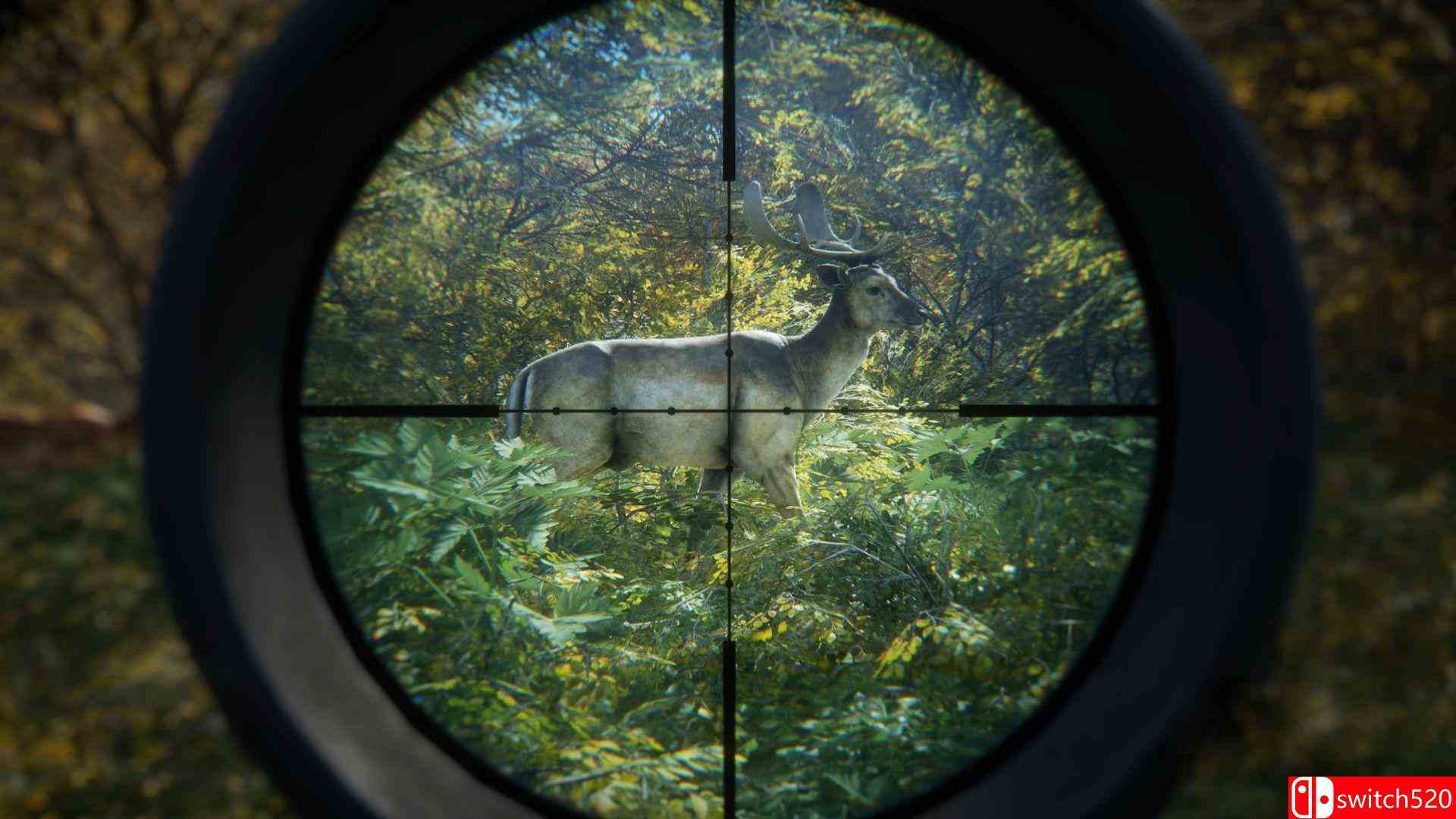 《猎人：荒野的呼唤（theHunter: Call of the Wild）》集成萨尔茨维森DLC TENOKE镜像版[CN/EN/JP]_3