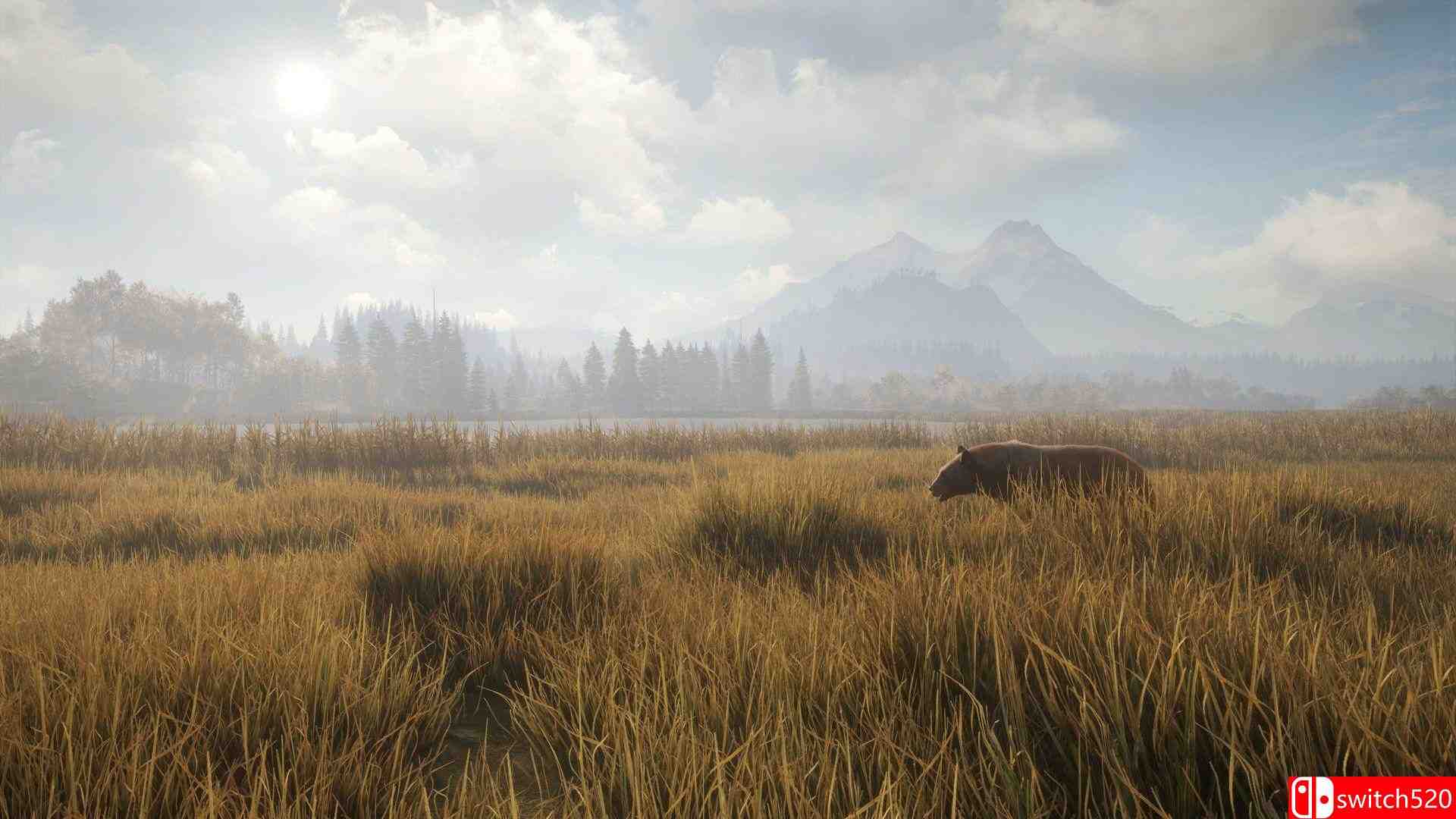 《猎人：荒野的呼唤（theHunter: Call of the Wild）》集成萨尔茨维森DLC TENOKE镜像版[CN/EN/JP]_2