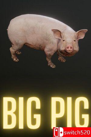 《巨猪争霸（Big Pig）》Build 16607505 P2P硬盘版[EN]