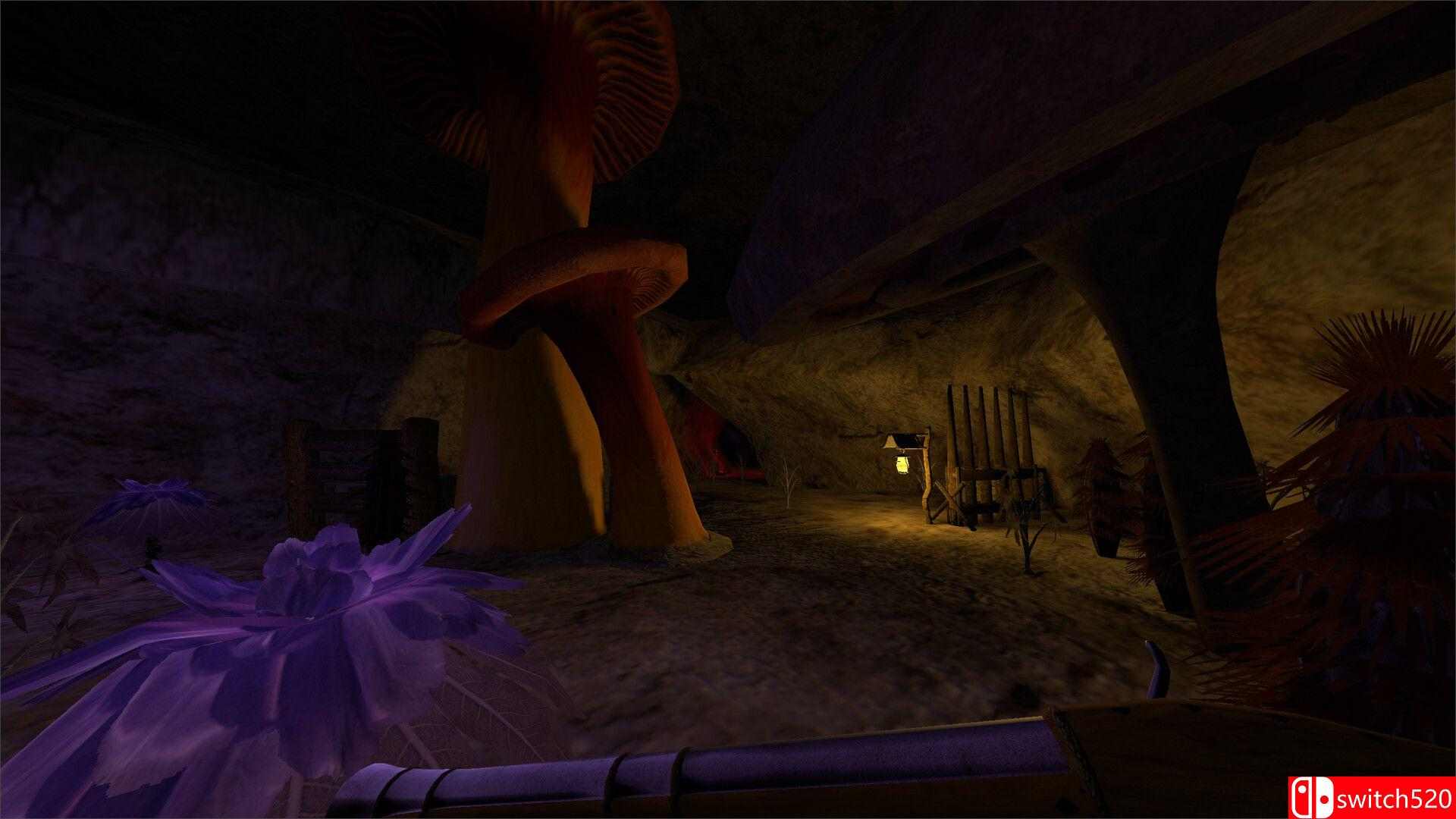 《地穴之翼（Burrow Wing）》Build 16687303 P2P硬盘版[EN]_4