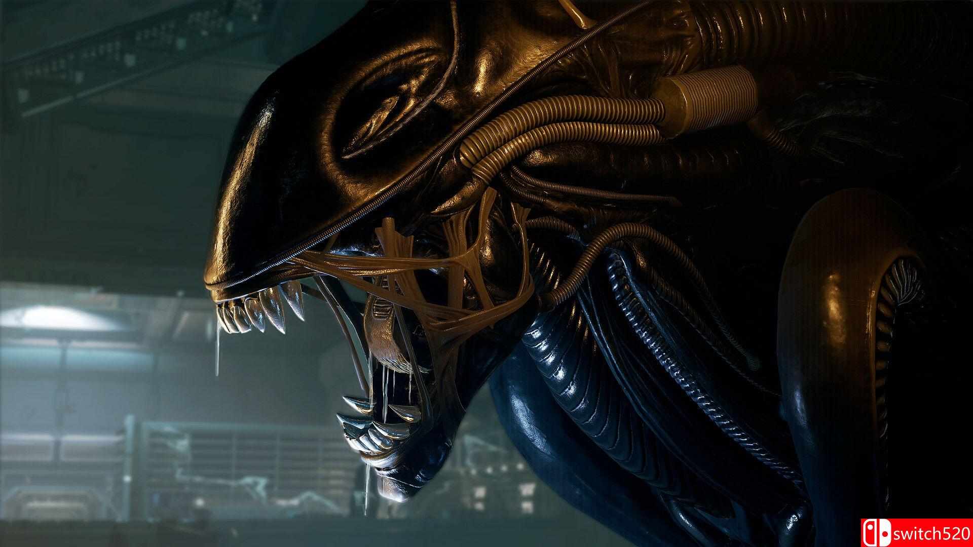 《异形：侠盗入侵（Alien: Rogue Incursion）》官方中文 VR版 RUNE镜像版[CN/TW/EN/JP]_1