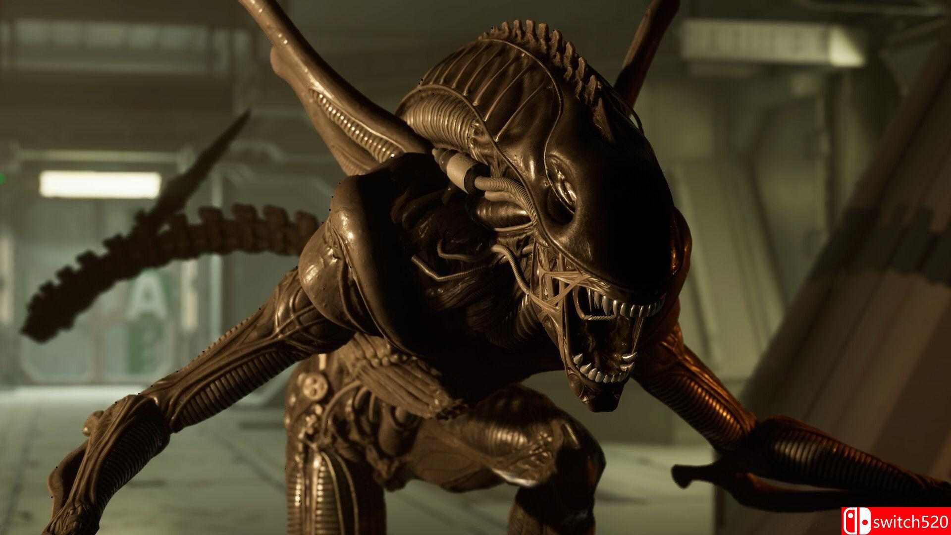 《异形：侠盗入侵（Alien: Rogue Incursion）》官方中文 VR版 RUNE镜像版[CN/TW/EN/JP]_4