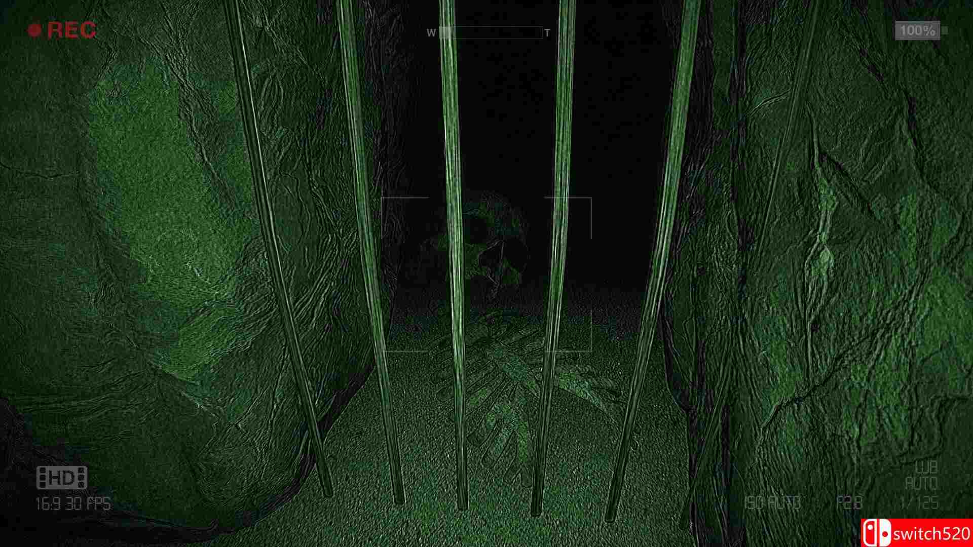 《洞穴异闻录（KAVERNUM）》TiNYiSO镜像版[EN]_3