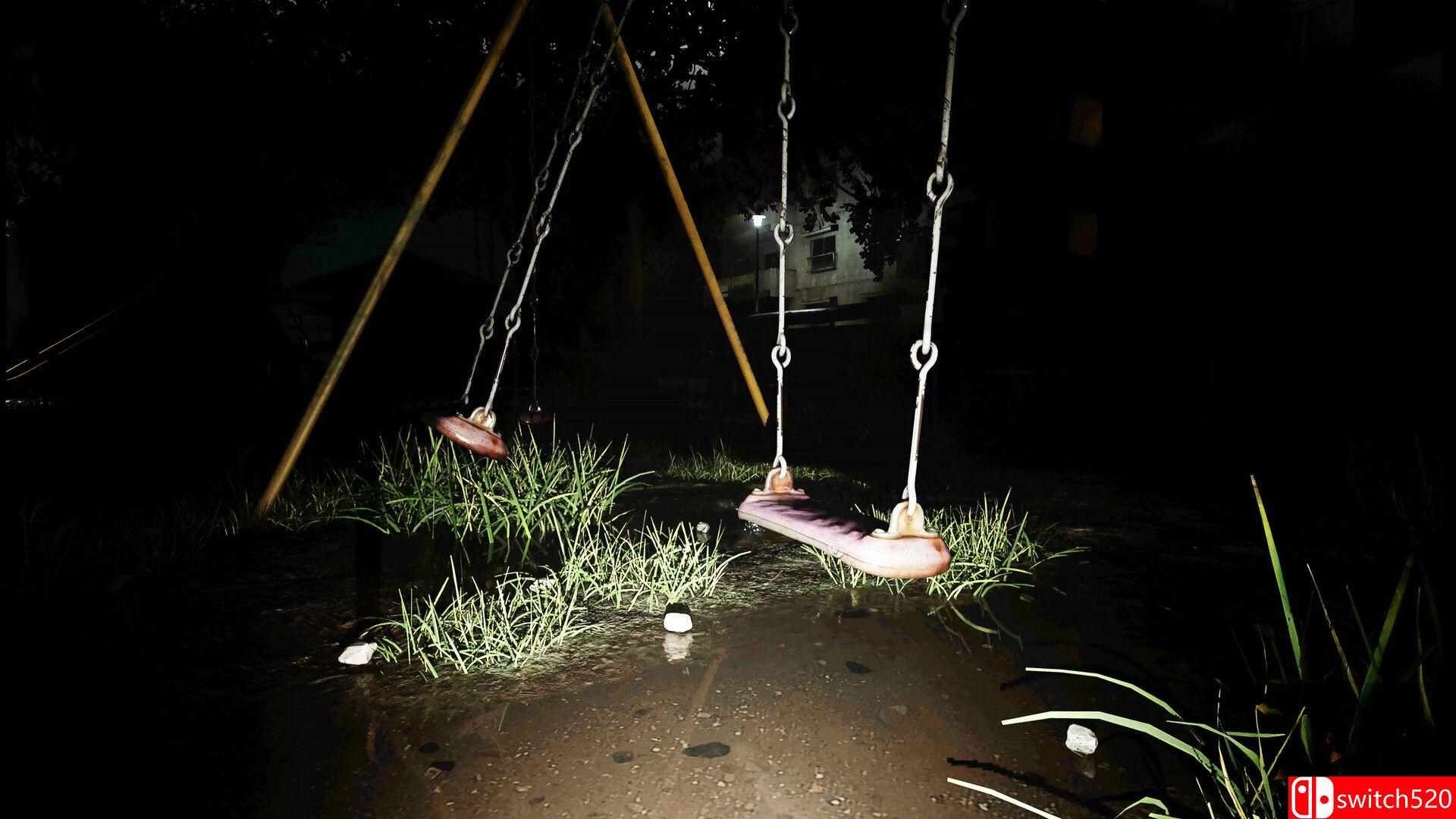 《诅咒数码相机（Cursed Digicam）》官方中文 TENOKE镜像版[CN/TW/EN/JP]_5