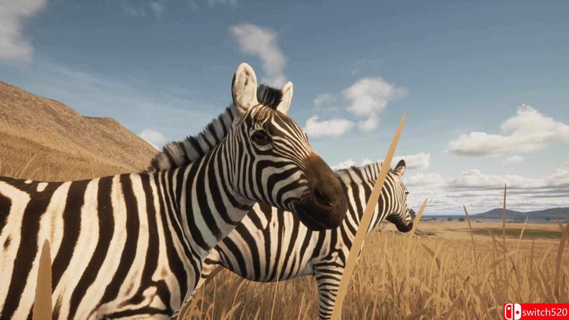 《动物生存（Animalia Survival）》Build 16992489 P2P硬盘版[EN]_5