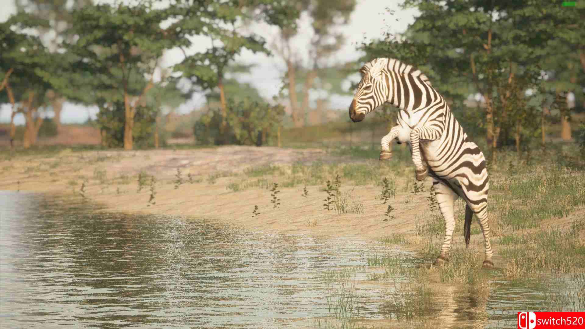 《动物生存（Animalia Survival）》Build 16992489 P2P硬盘版[EN]_3