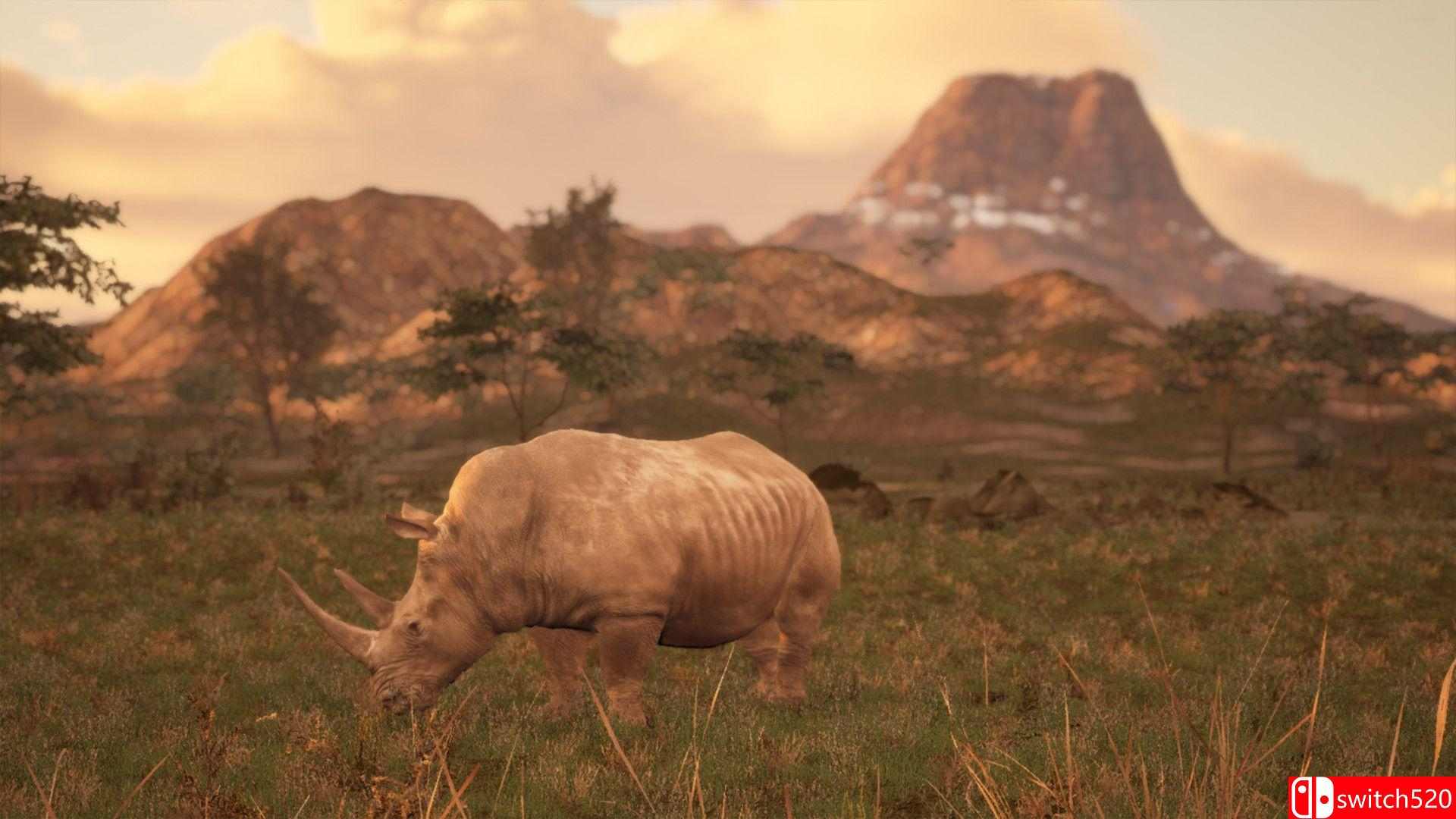 《动物生存（Animalia Survival）》Build 16992489 P2P硬盘版[EN]_1