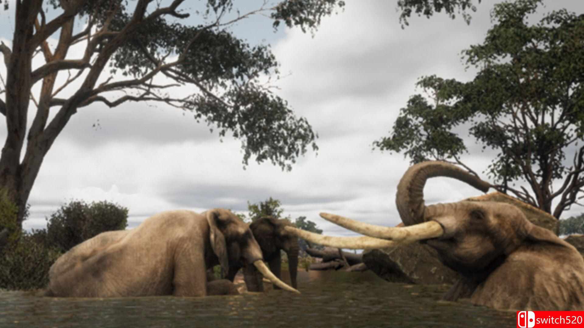 《动物生存（Animalia Survival）》Build 16992489 P2P硬盘版[EN]_4