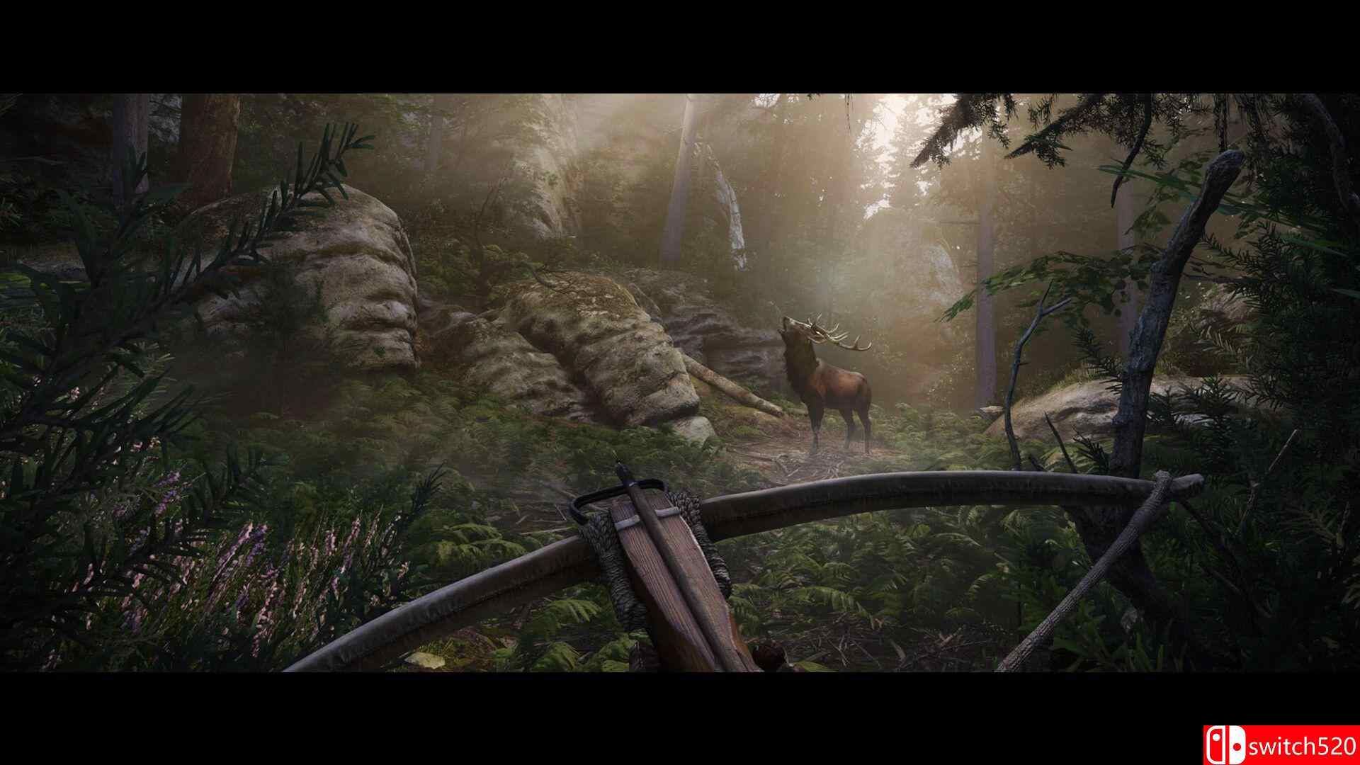《天国：拯救2（Kingdom Come: Deliverance II）》官方中文  FLT镜像版[CN/TW/EN/JP]_3